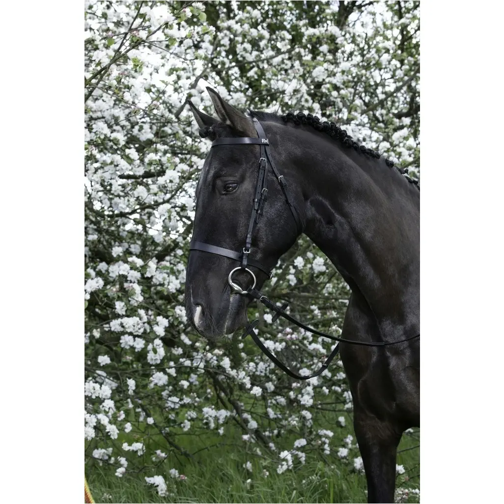 schwarz