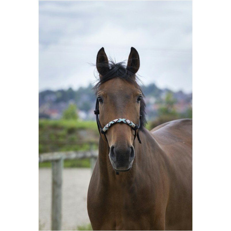 Knotenhalfter PEARL schwarz Knotenhalfter PEARL schwarz