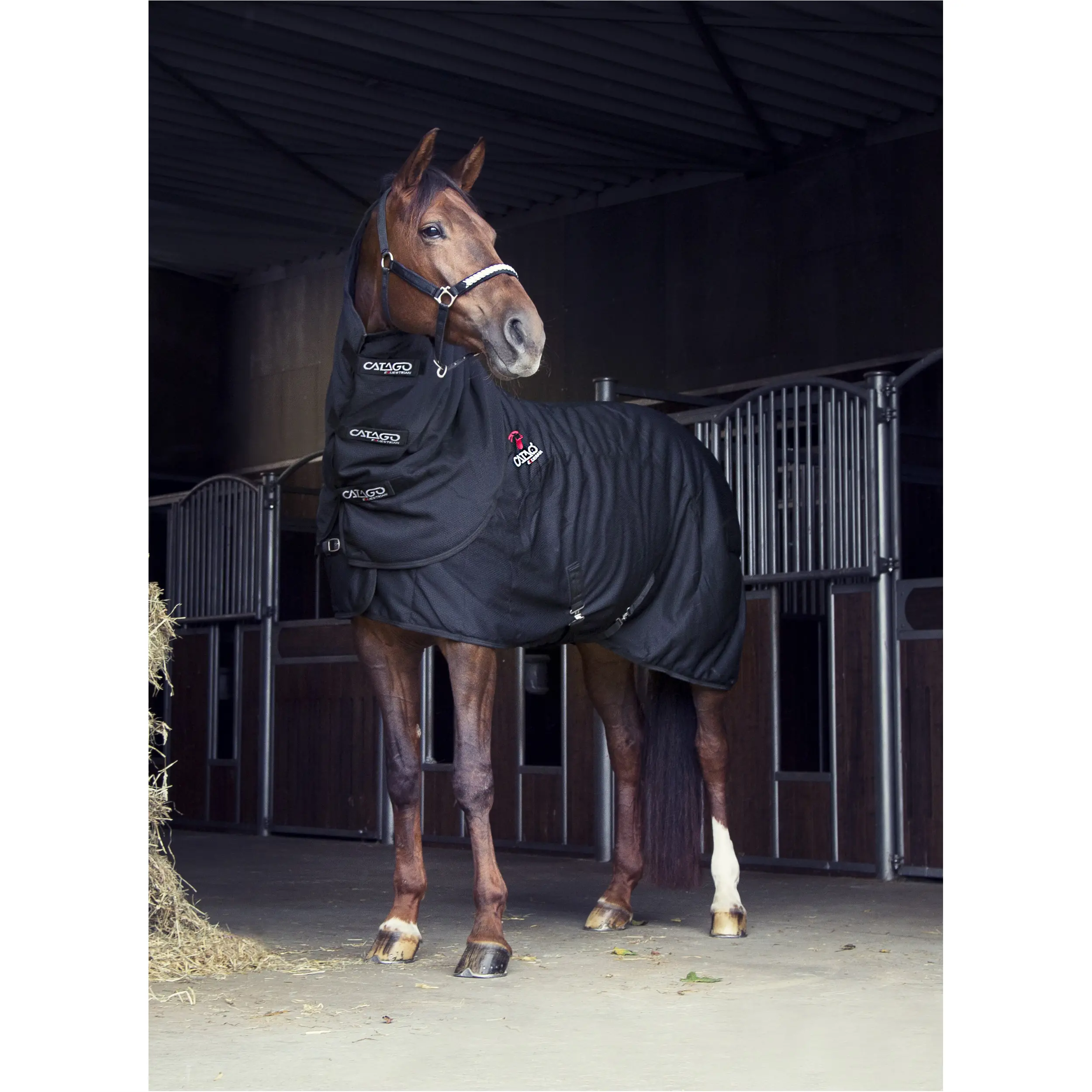 Halsteil FIR-Tech schwarz Halsteil FIR-Tech schwarz