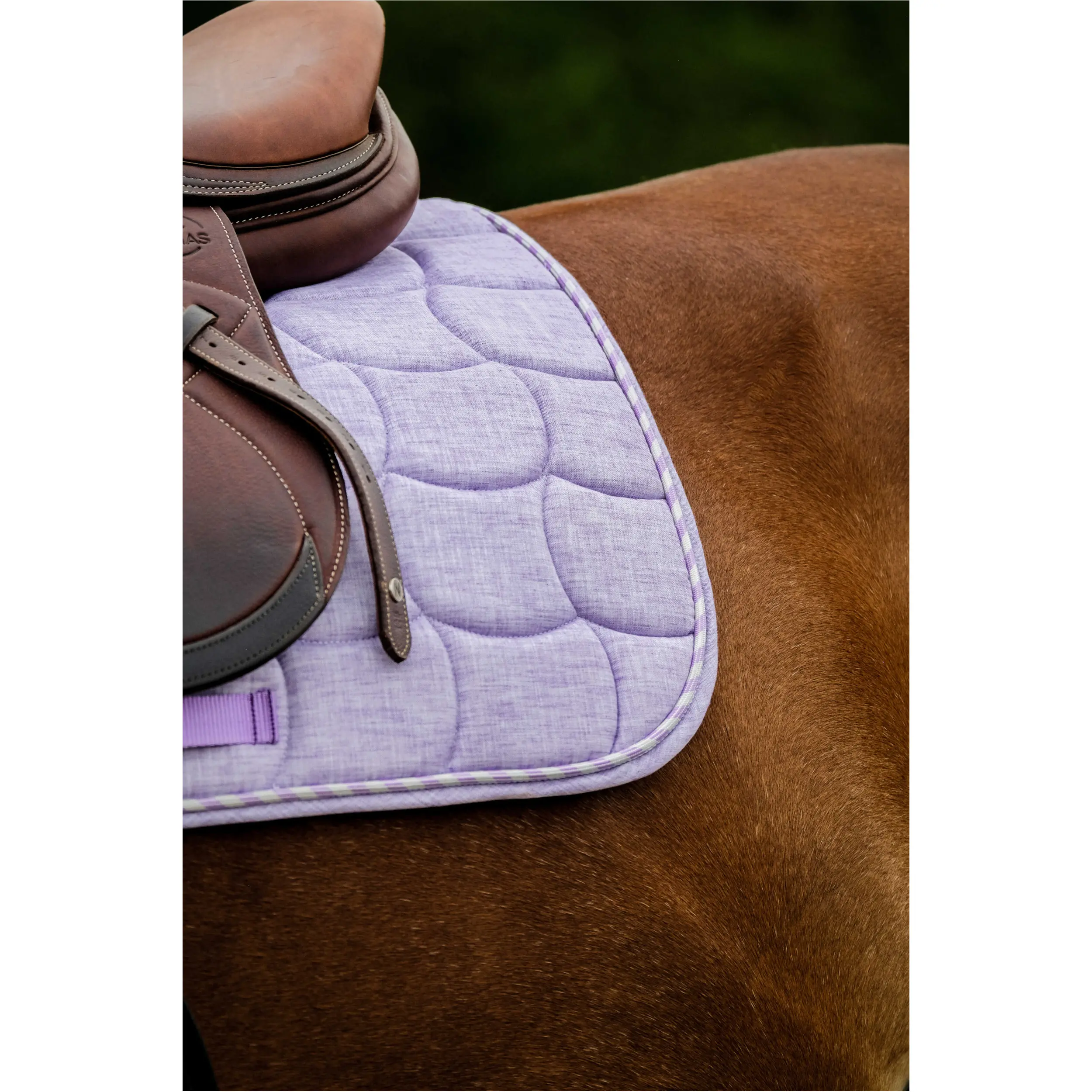 Schabracke SUNSHINE lavendel Warmblut Vielseitigkeit Schabracke SUNSHINE lavendel Warmblut Vielseitigkeit