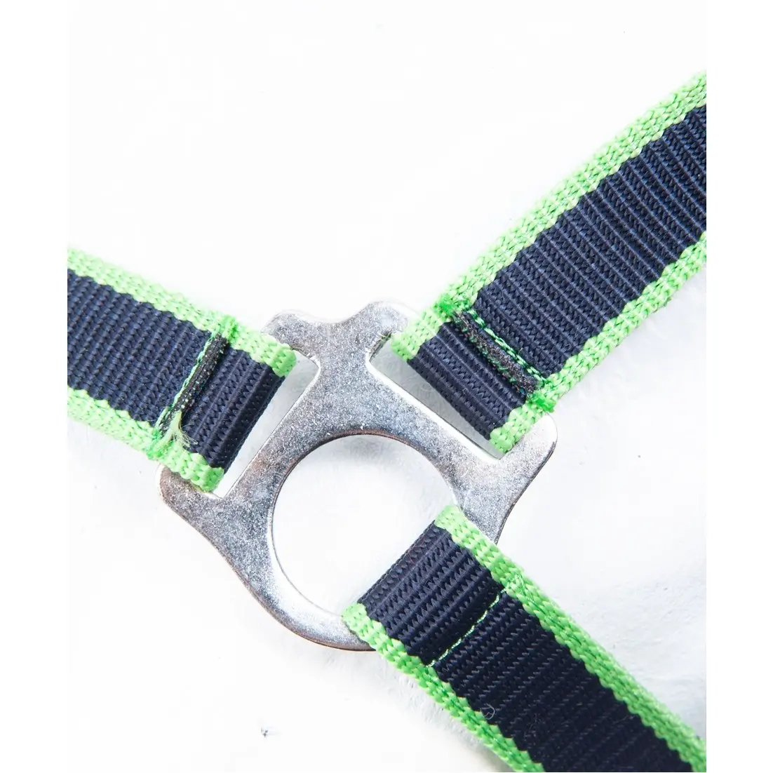 Halfter BUDAPEST navy/grasgrün Halfter BUDAPEST navy/grasgrün