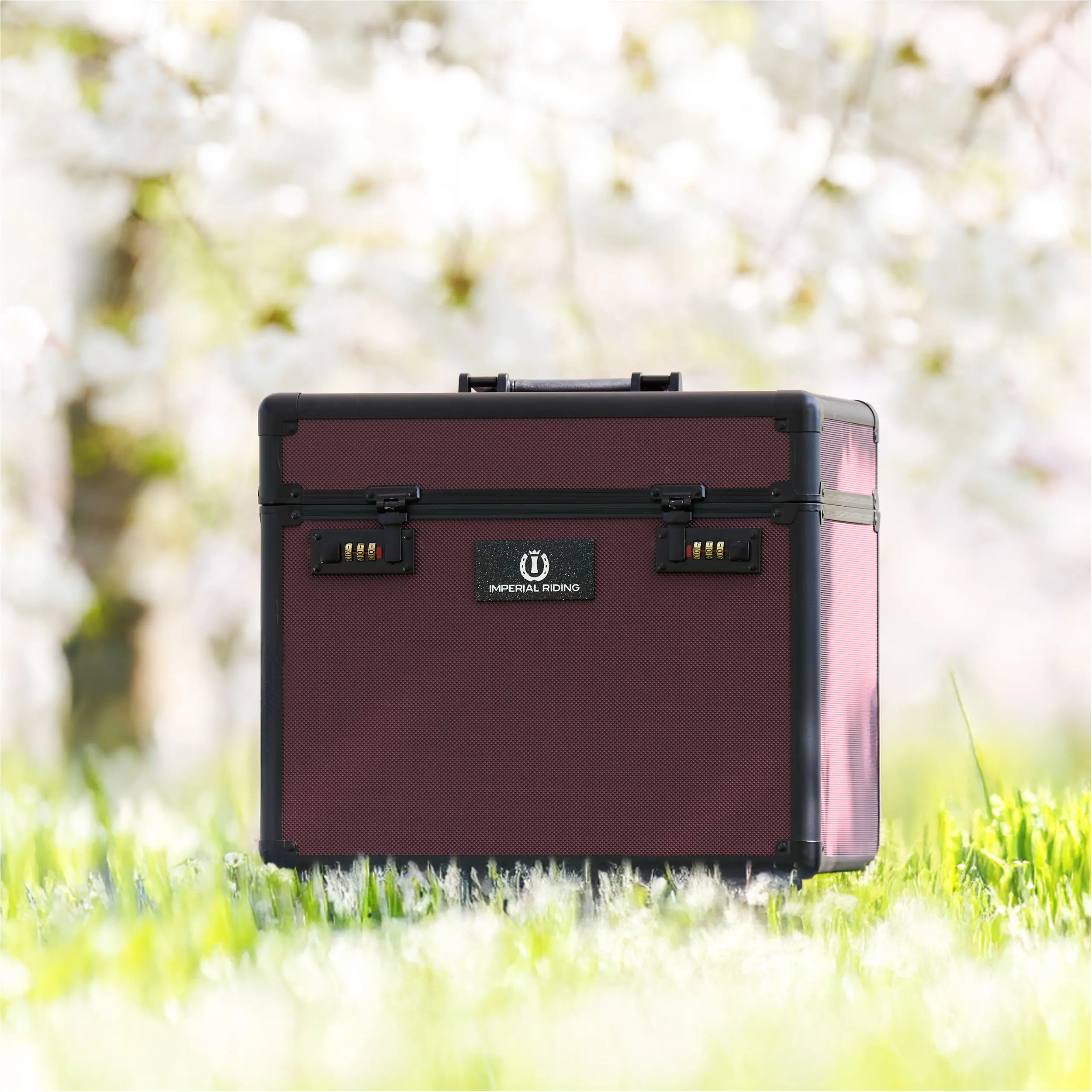 Putzbox IRHShiny fig Putzbox IRHShiny fig