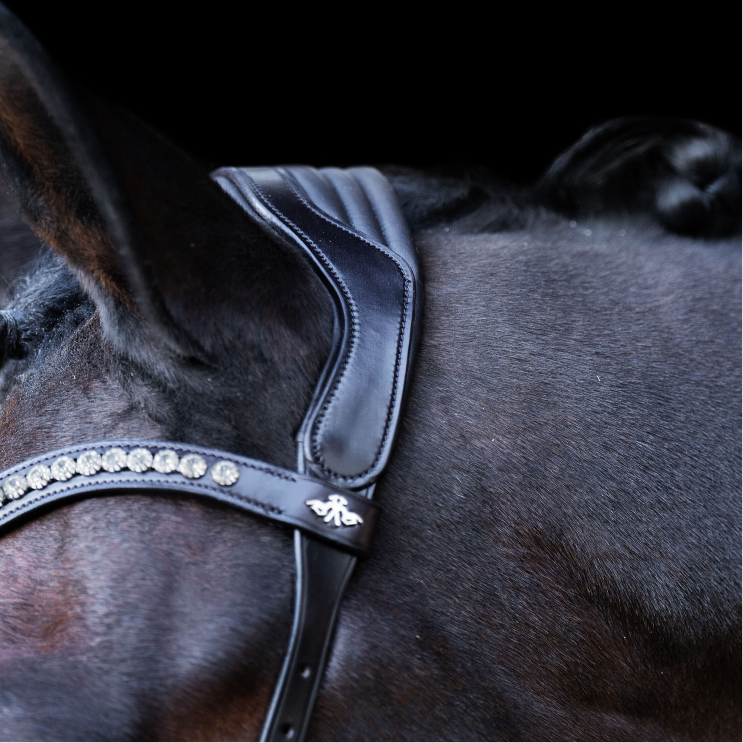 Trense HVPLegacy anatomisch Deluxe chocolate braun