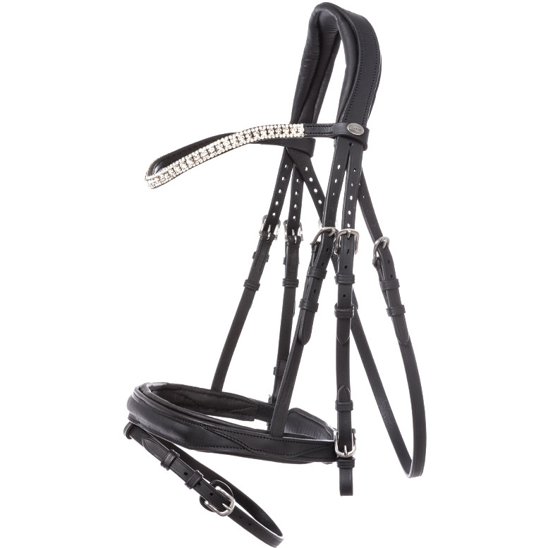 Trensenzaum englisch kombiniert EVERNESS Leder geölt schwarz