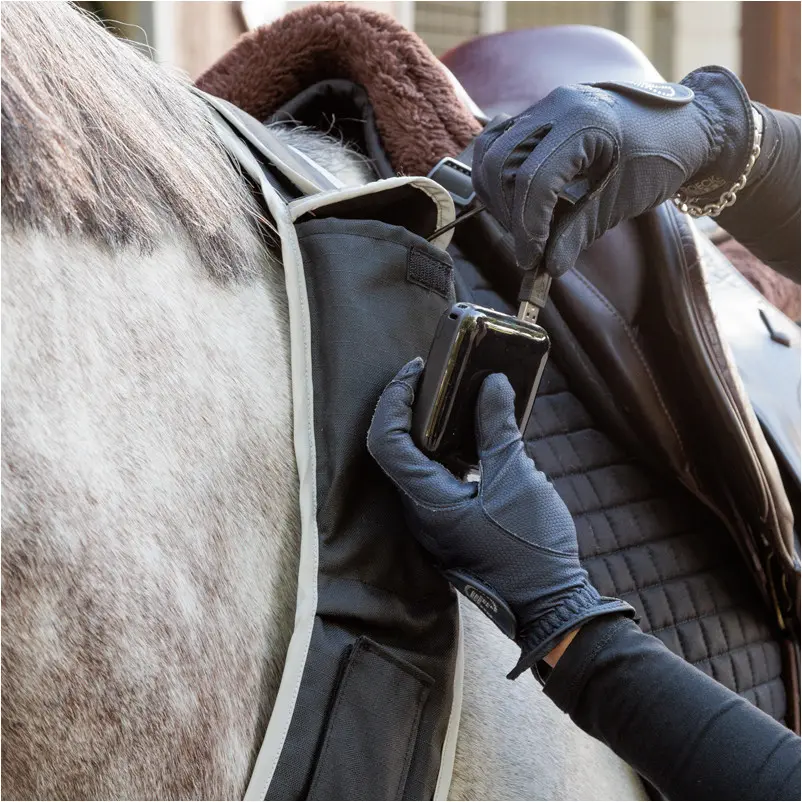 Vorderzeug mit weißer Frontleuchte HORSELIGHT schwarz/grau