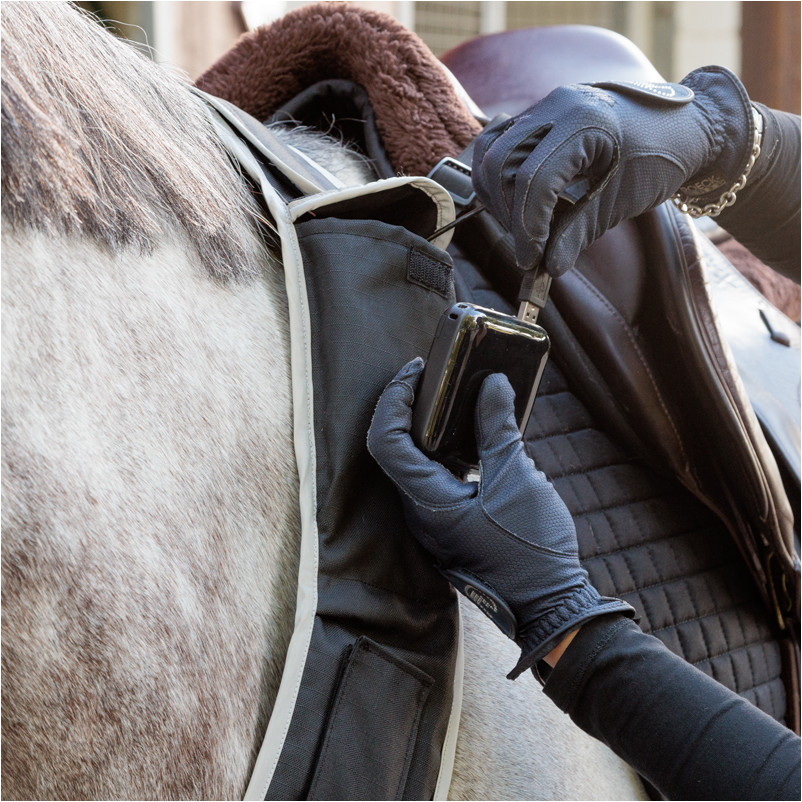 Vorderzeug mit weißer Frontleuchte HORSELIGHT schwarz/grau