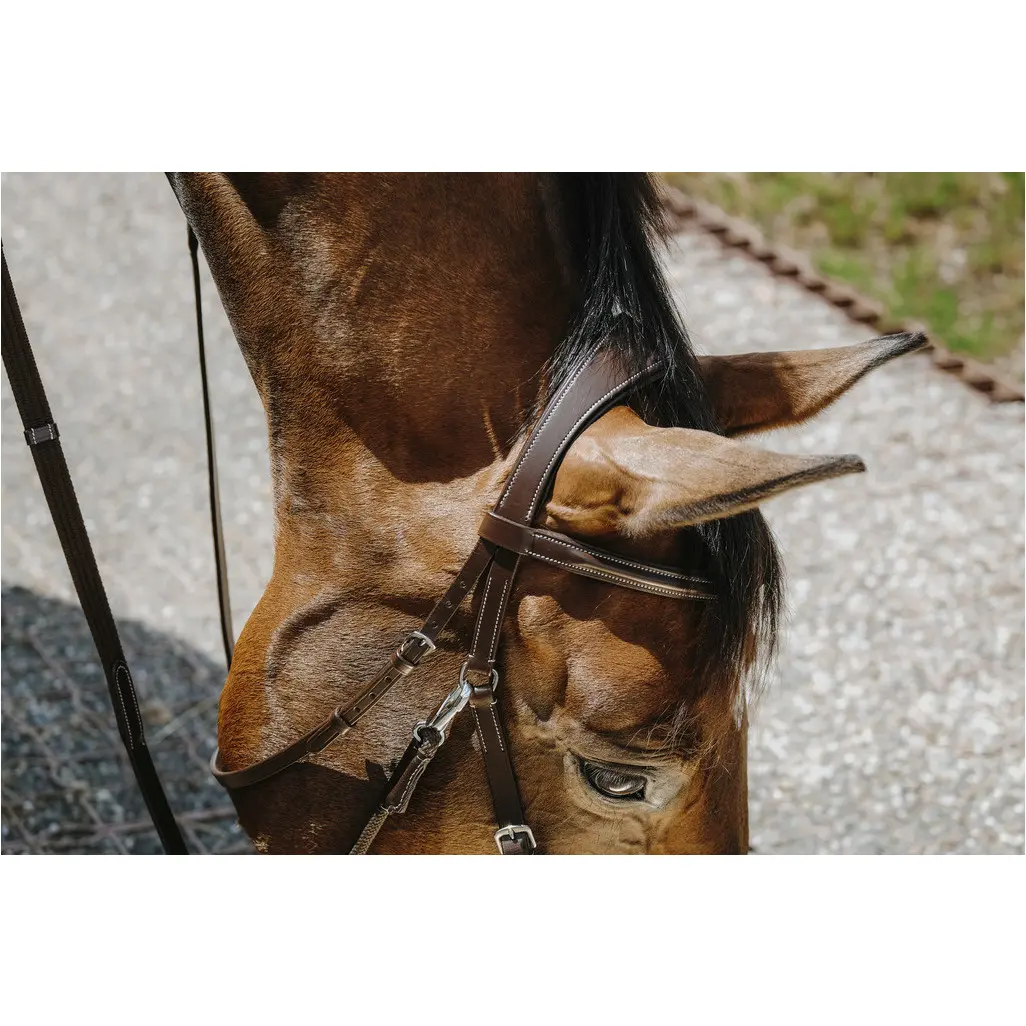 Trensenzaum und Gurtzügel BITLESS Echtleder havana Trensenzaum und Gurtzügel BITLESS Echtleder havana