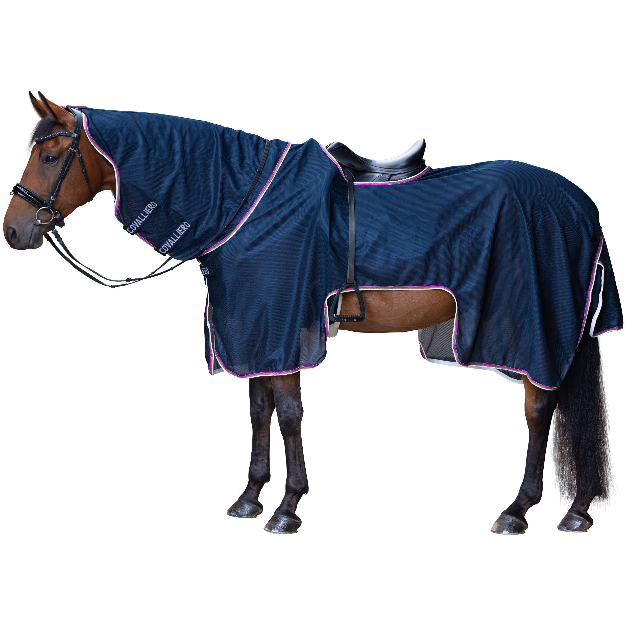 Ausreitdecke F/S 2026 dark navy