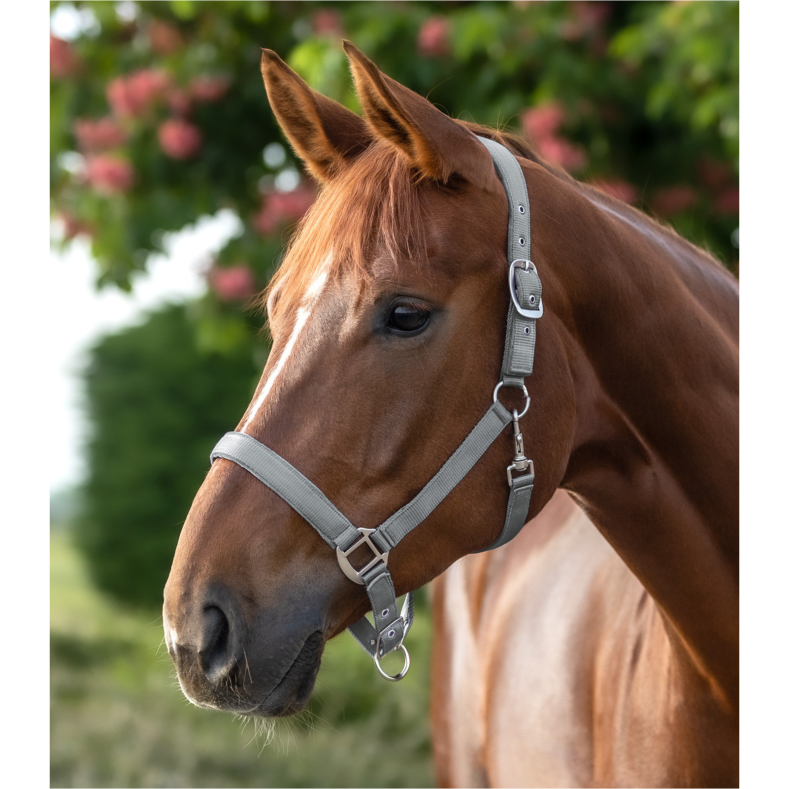 Halfter SATIN chromgrau