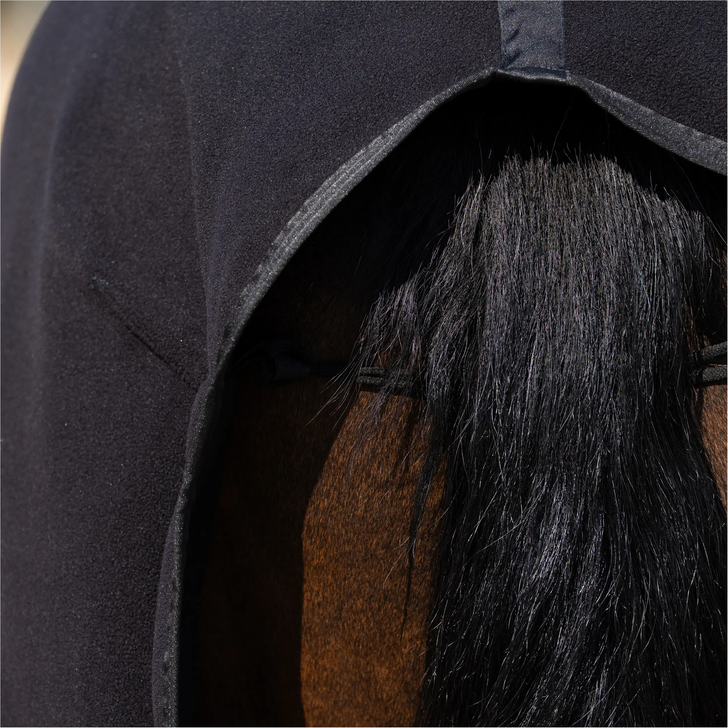 Fleecedecke abnehmbare Kreuzgurte HVPBasic schwarz Fleecedecke abnehmbare Kreuzgurte HVPBasic schwarz