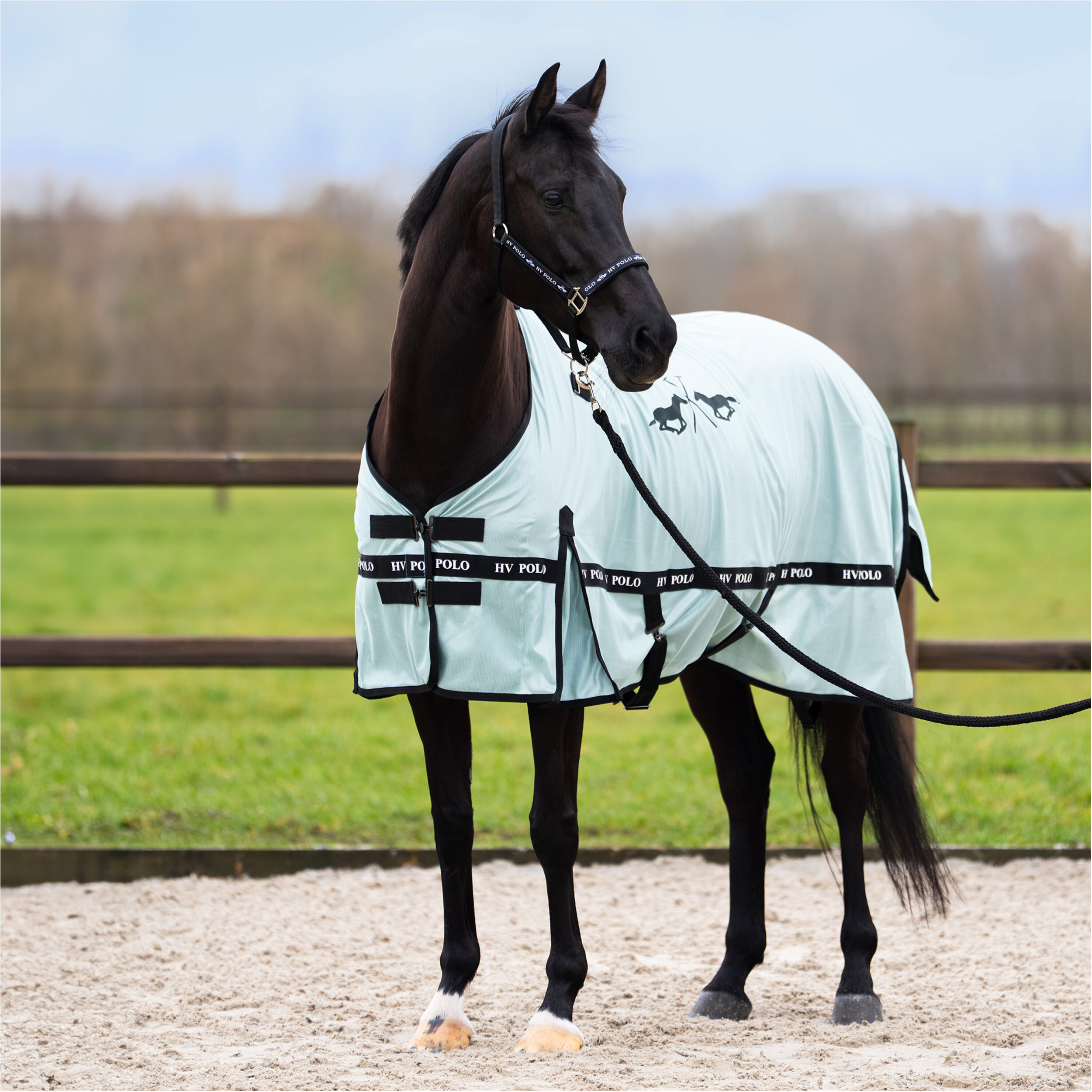 Fliegendecke mit Halsteil (abnehmbar) HVPNena aqua sky Fliegendecke mit Halsteil (abnehmbar) HVPNena aqua sky