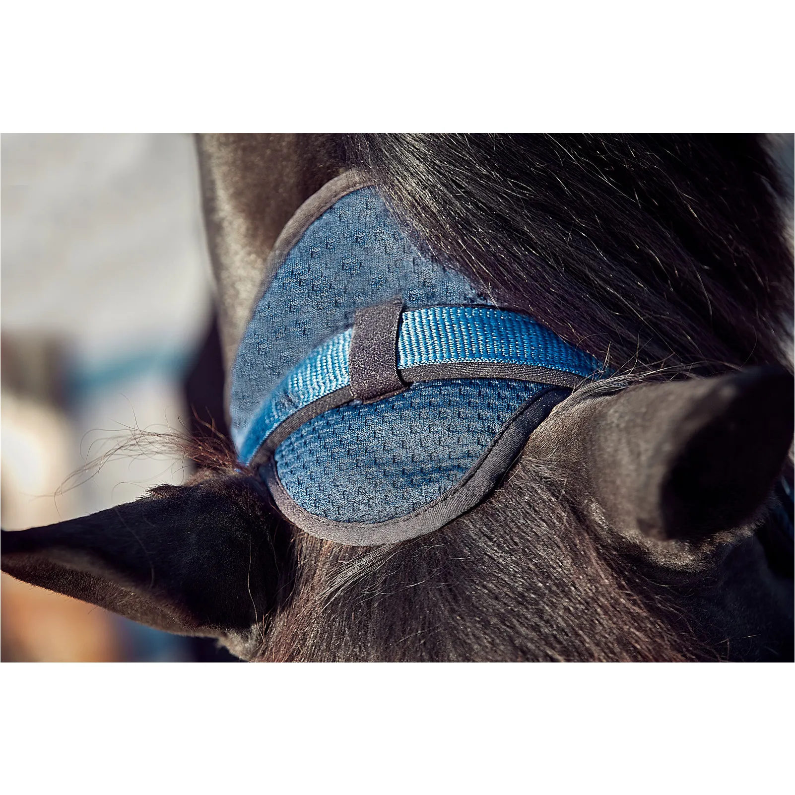 Halfter FIR-Tech blau