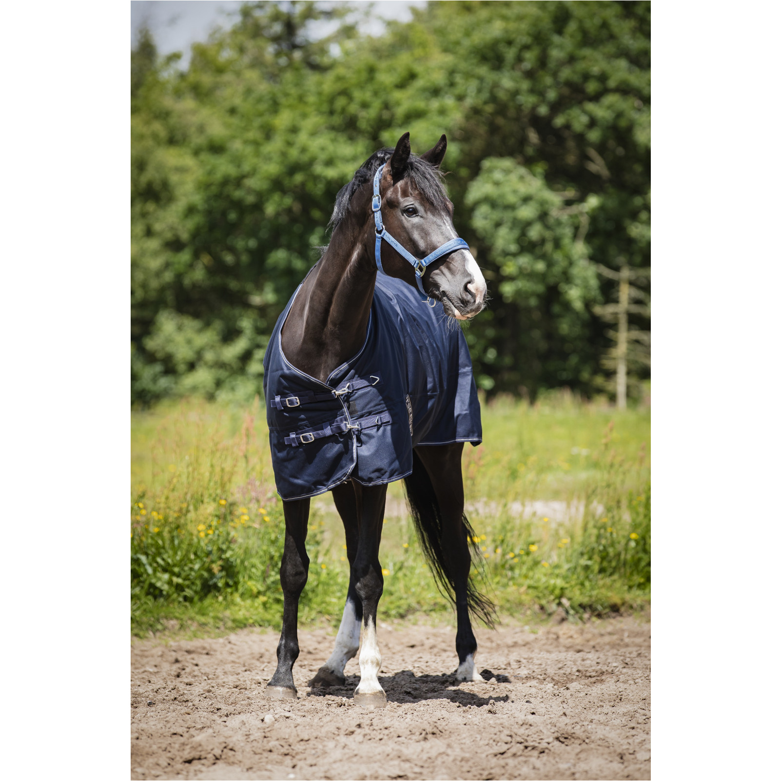 Turnoutdecke 1200D LANDON navy