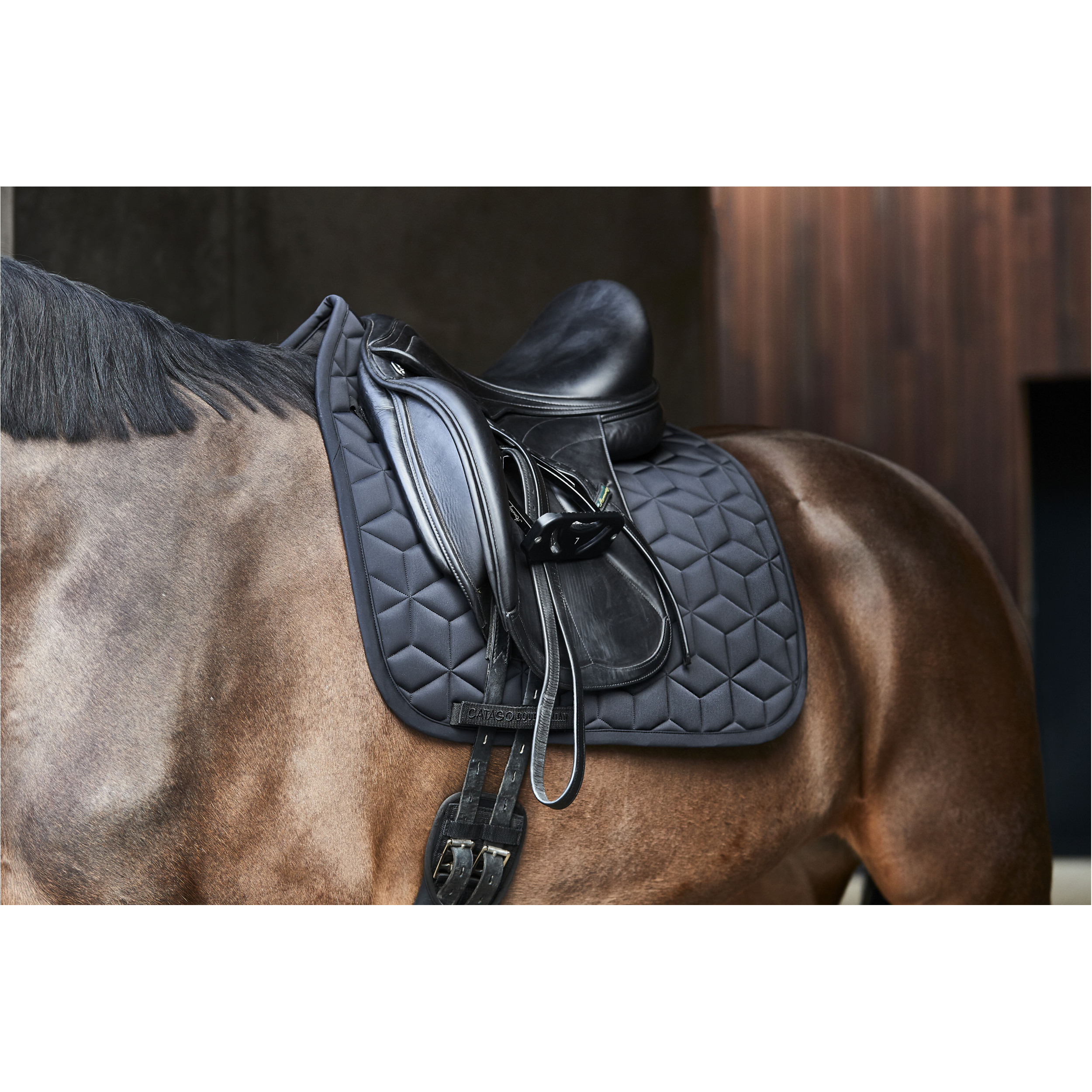 Schabracke PALOMA schwarz Schabracke PALOMA schwarz