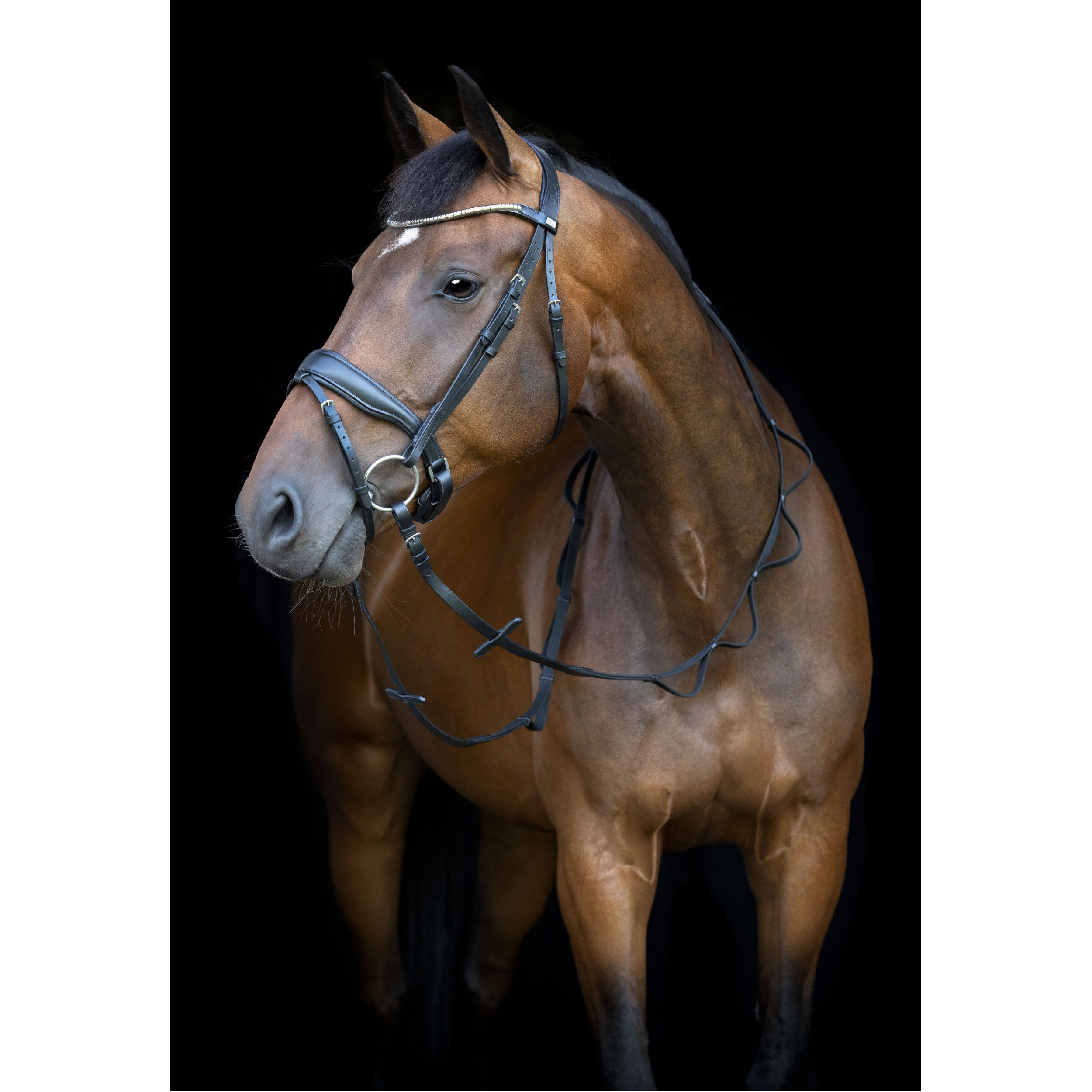 Zügel mit Schlaufen 16mm schwarz