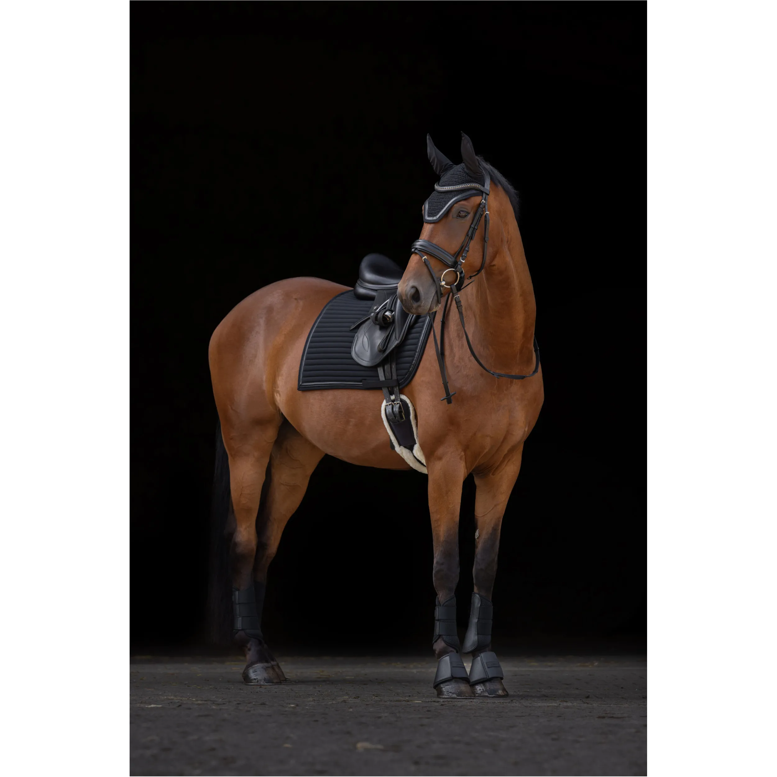 Schabracke LINEA black