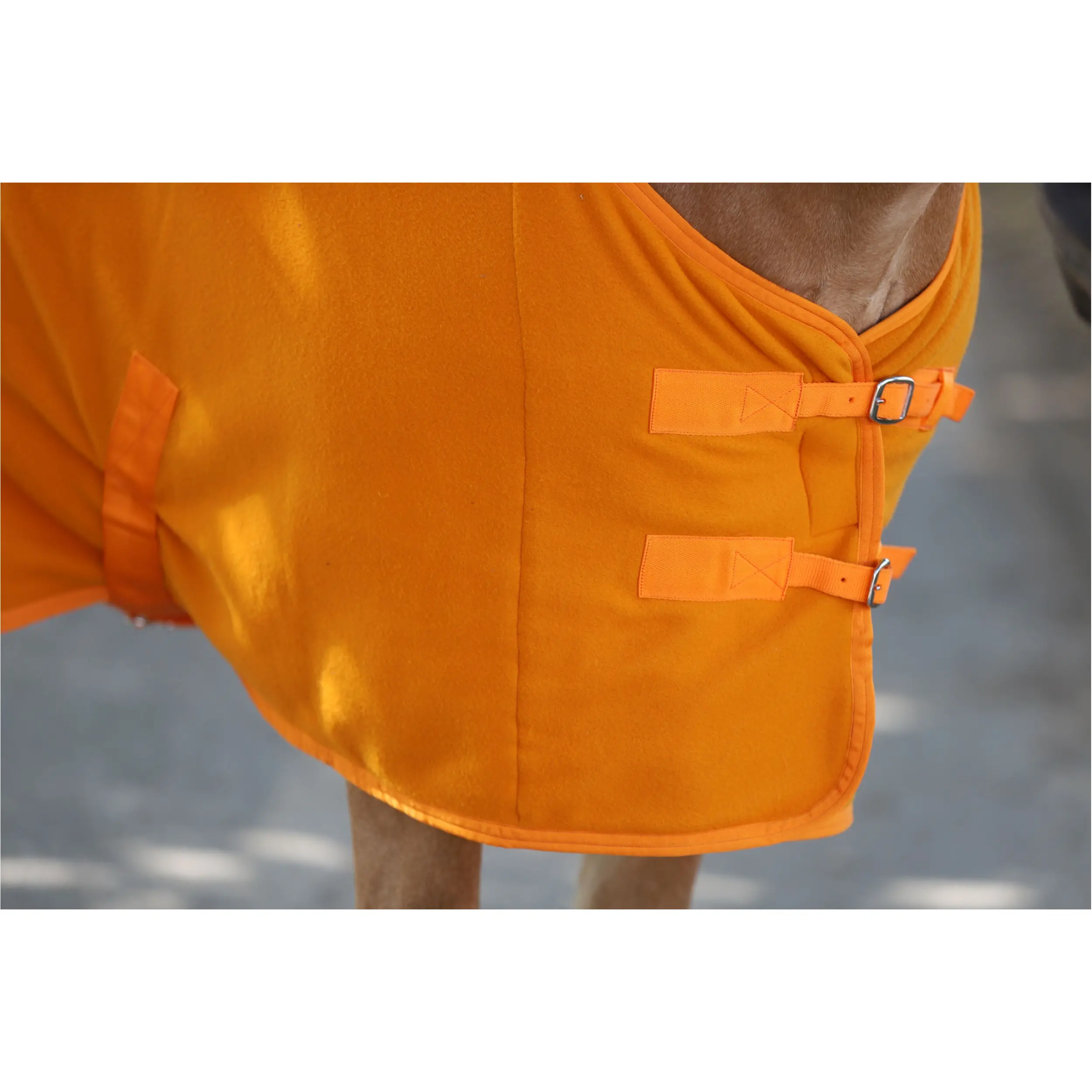 Abschwitzdecke mit Kreuzgurt BASICLINE rost Abschwitzdecke mit Kreuzgurt BASICLINE rost