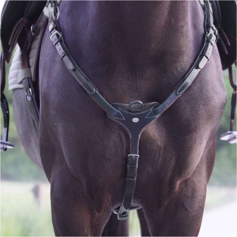 Vorderzeug mit Elast BIANCA schwarz Vorderzeug mit Elast BIANCA schwarz