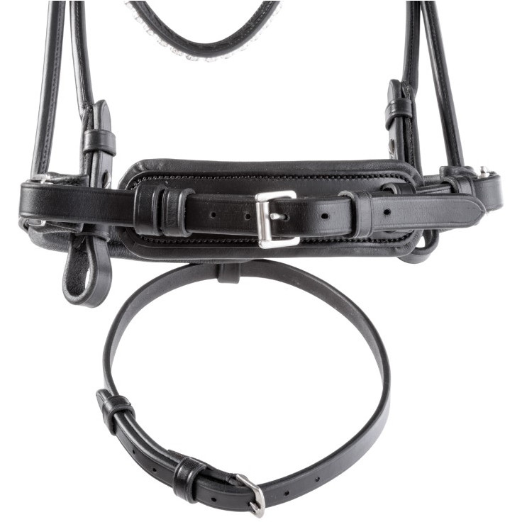 Trensenzaum mit schwedischen Reithalfter FLORENTINE schwarz