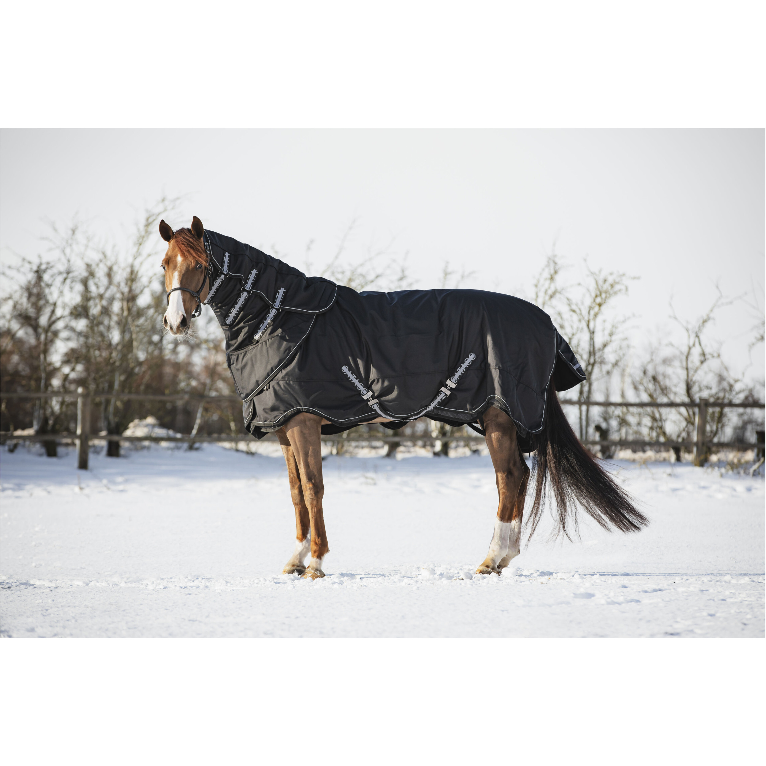 Halsteil 100g Füllung FIR-Tech COMPOUND schwarz