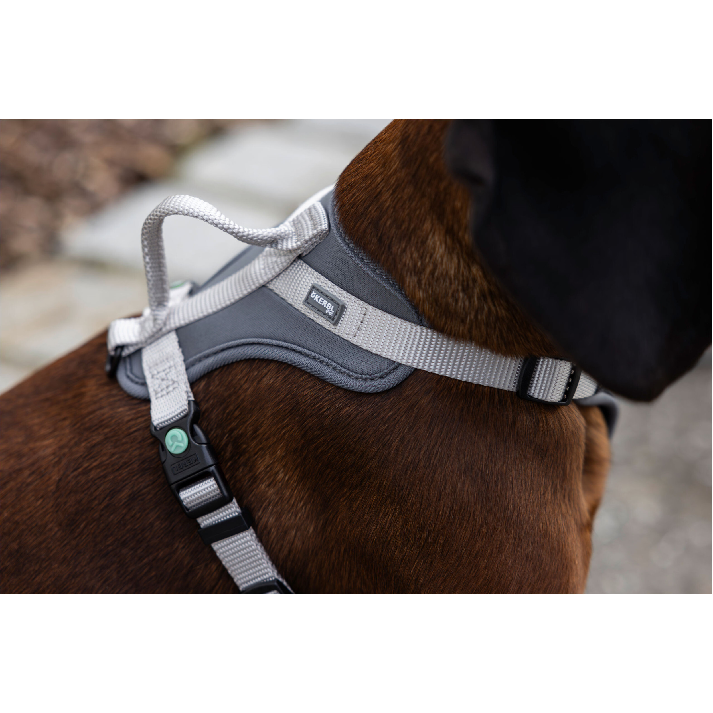 Hundegeschirr FITTY grau/beige 30-50cm