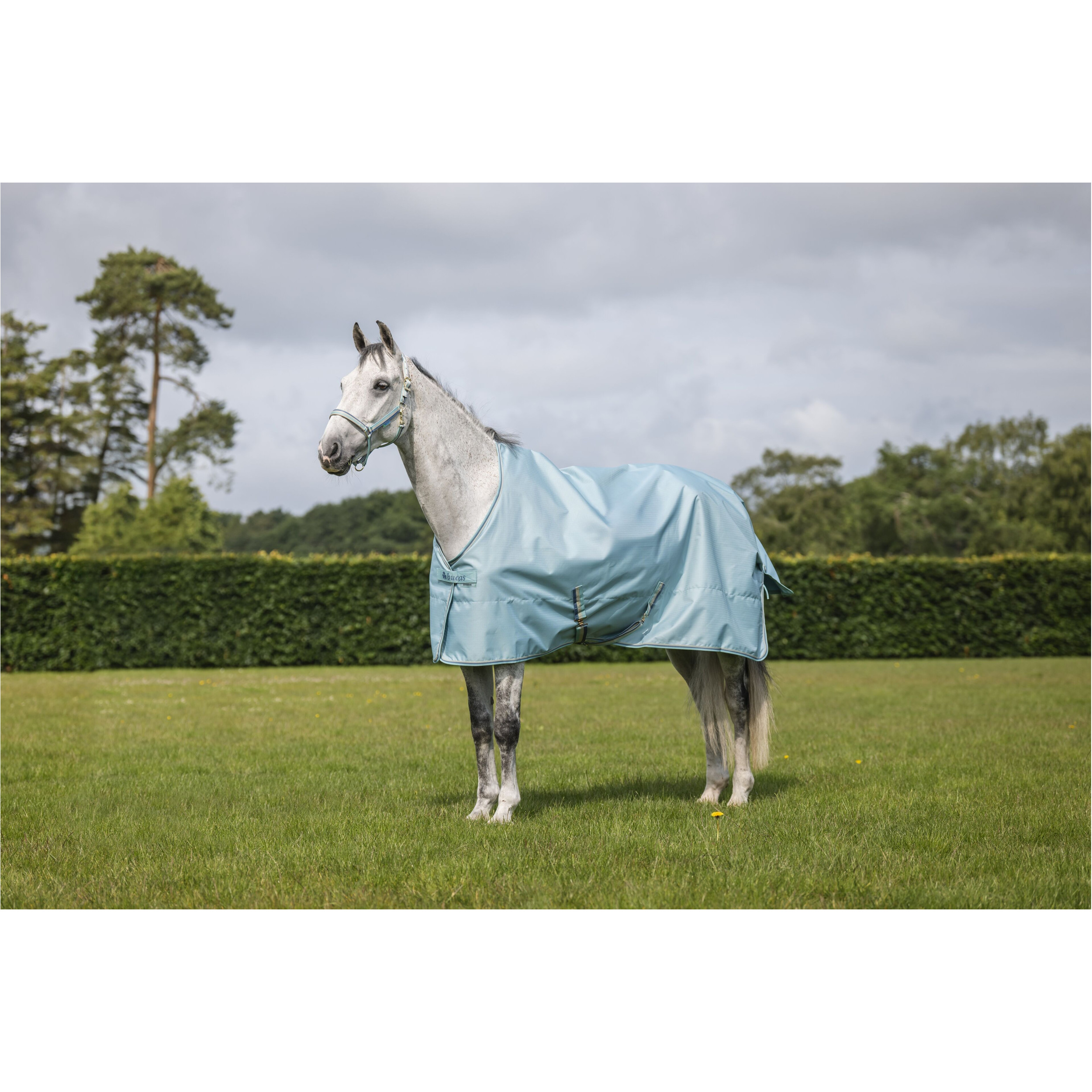 Regendecke Light FREEDOM TURNOUT türkis