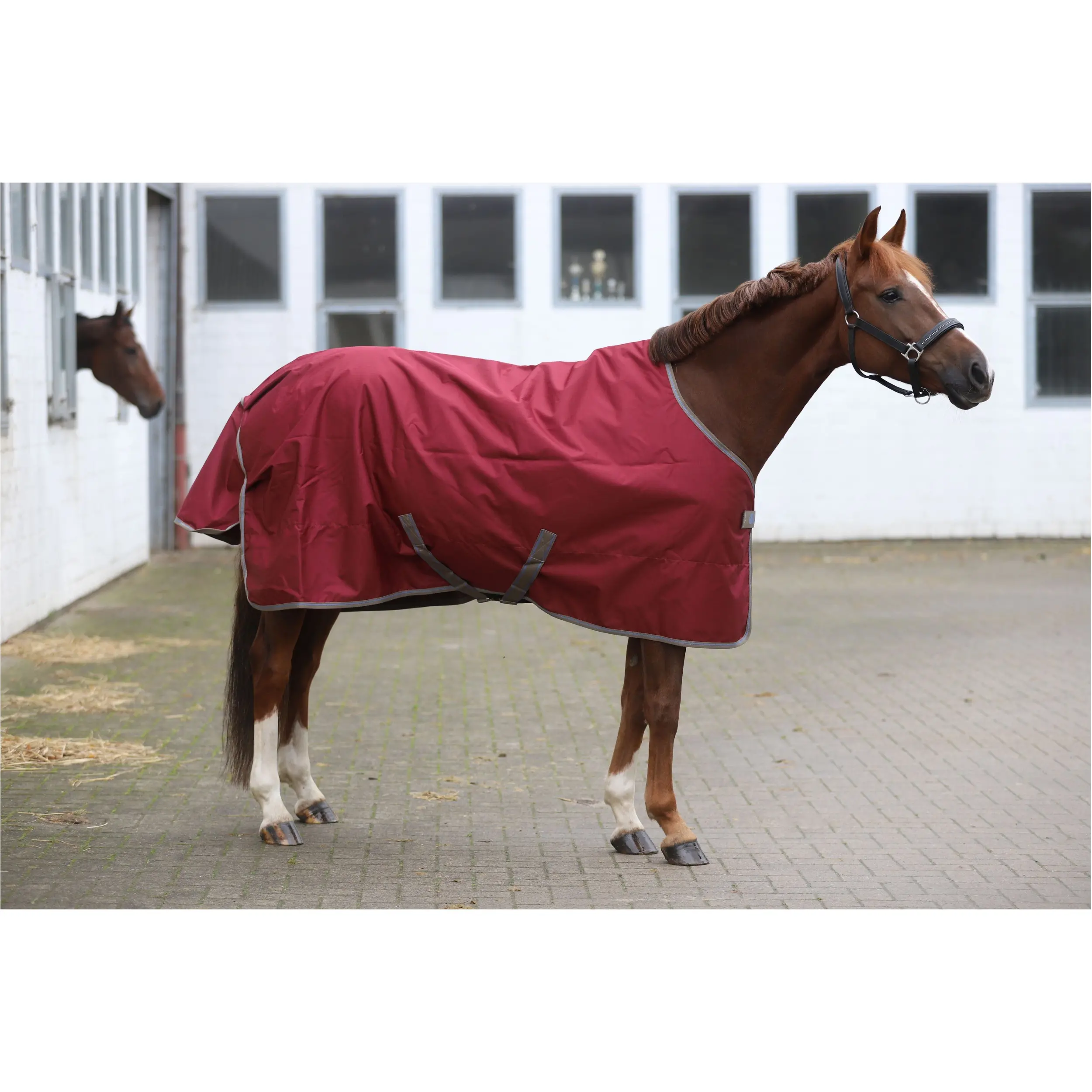 Weidedecke 50g Füllung 600D FREEDOM TURNOUT weinrot/beige