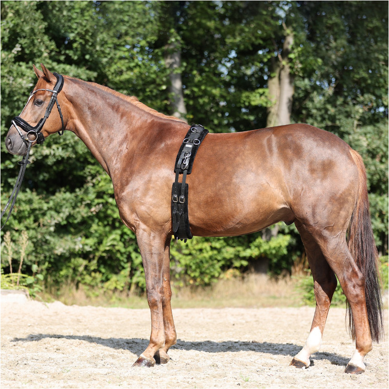 Longiergurt mit Kunstfell schwarz