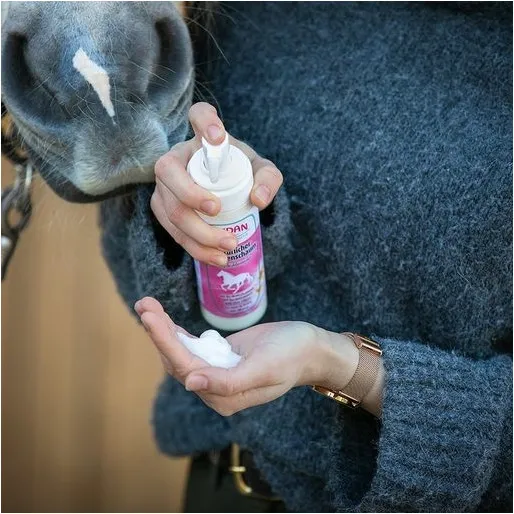 Natürlicher Mähnenschaum Einflechtwunder 200ml