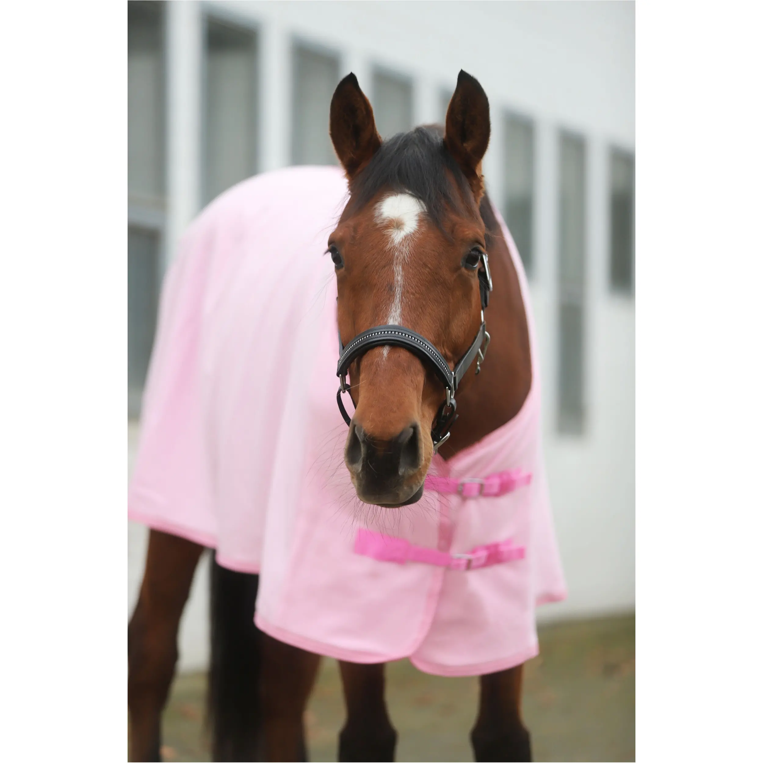 Abschwitzdecke BASICLINE rosa
