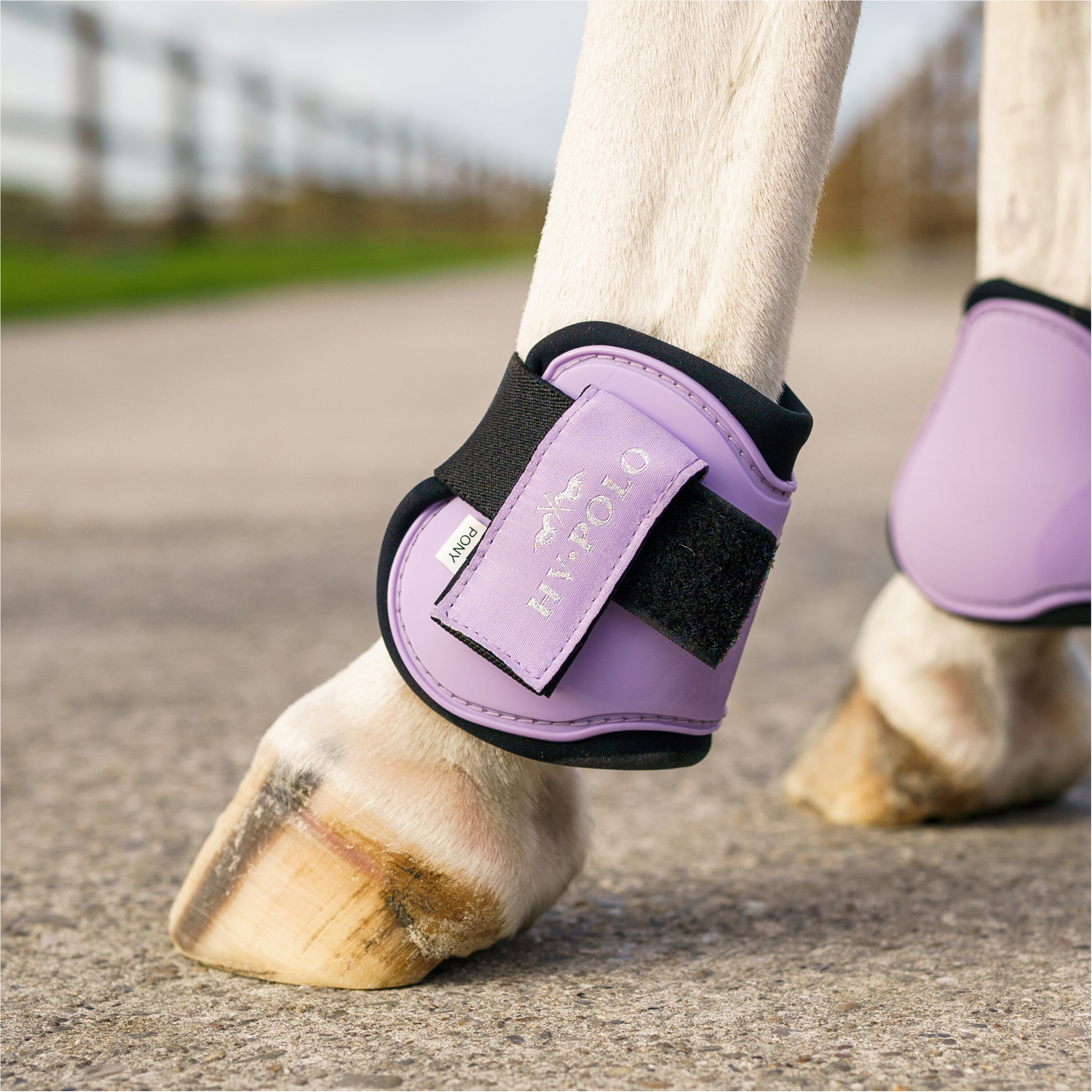 Gamaschen & Streichkappen (4er Set) HVPClassic violet