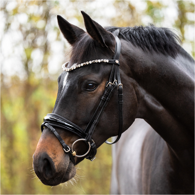 Trensenzaum schwedisch kombiniert ZORA schwarz lack/schwarz Trensenzaum schwedisch kombiniert ZORA schwarz lack/schwarz