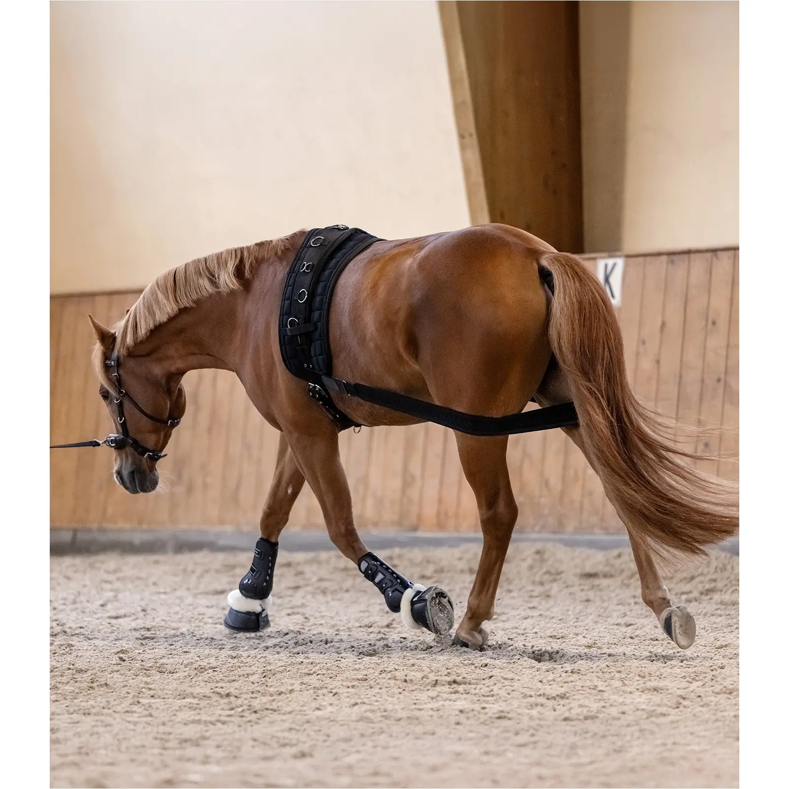 Körperbandage schwarz Vollblut/Warmblut