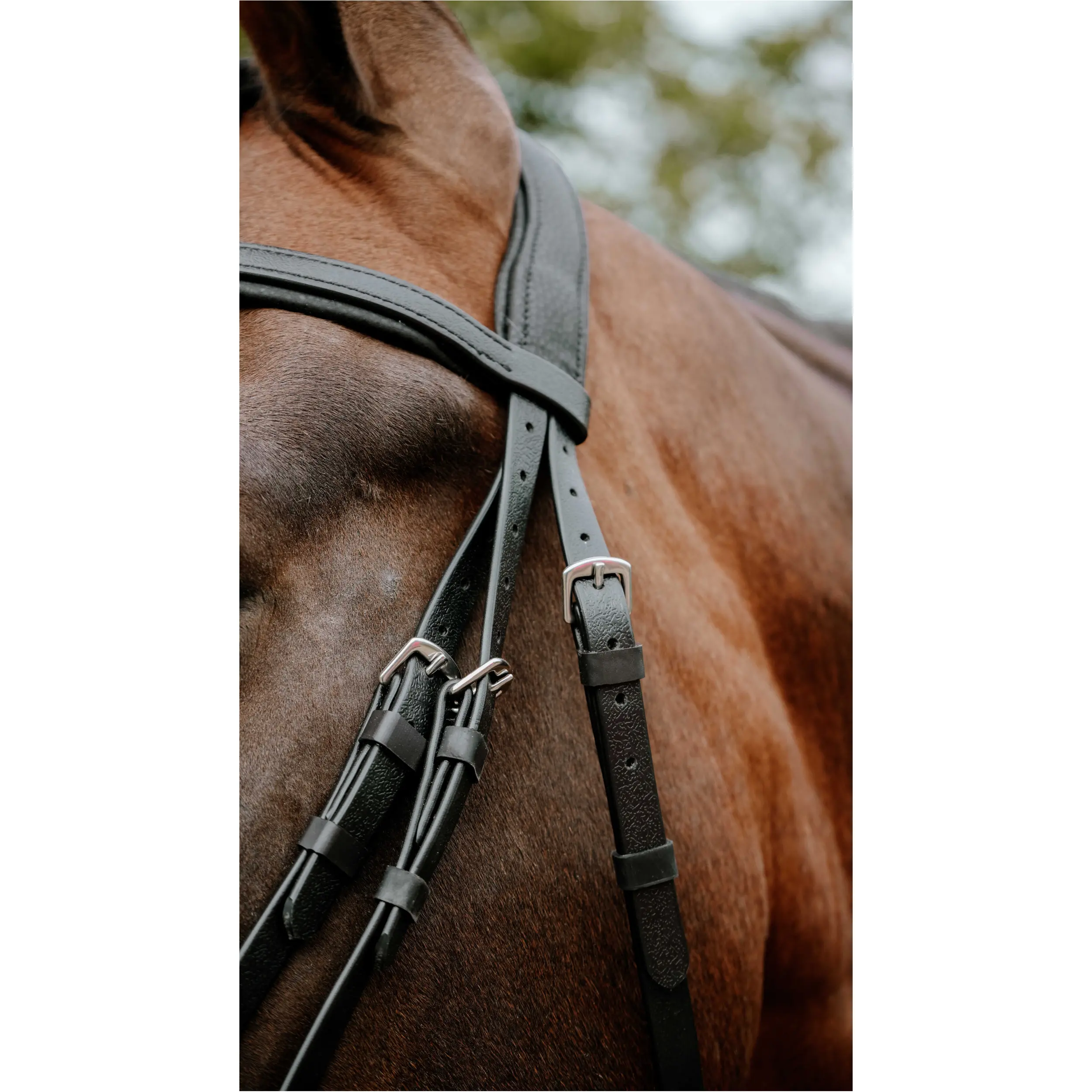 Trensenzaum ENDURANCE POP schwarz Trensenzaum ENDURANCE POP schwarz