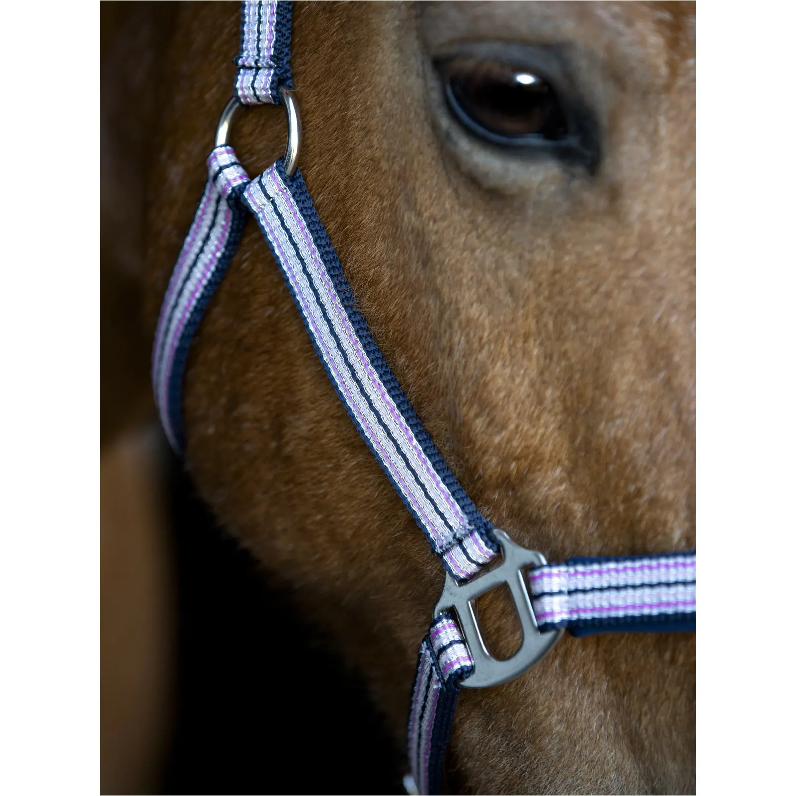 Halfter MASCHA phlox pink Halfter MASCHA phlox pink