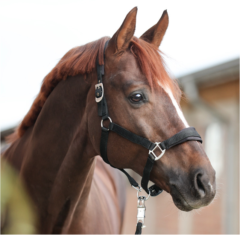 Halfter CLASSIC SIMPLE schwarz