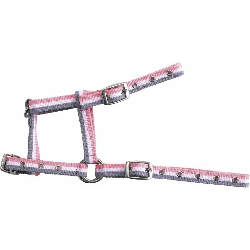 Fohlenhalfter verstellbar grau/weiß/rosa Fohlenhalfter verstellbar grau/weiß/rosa