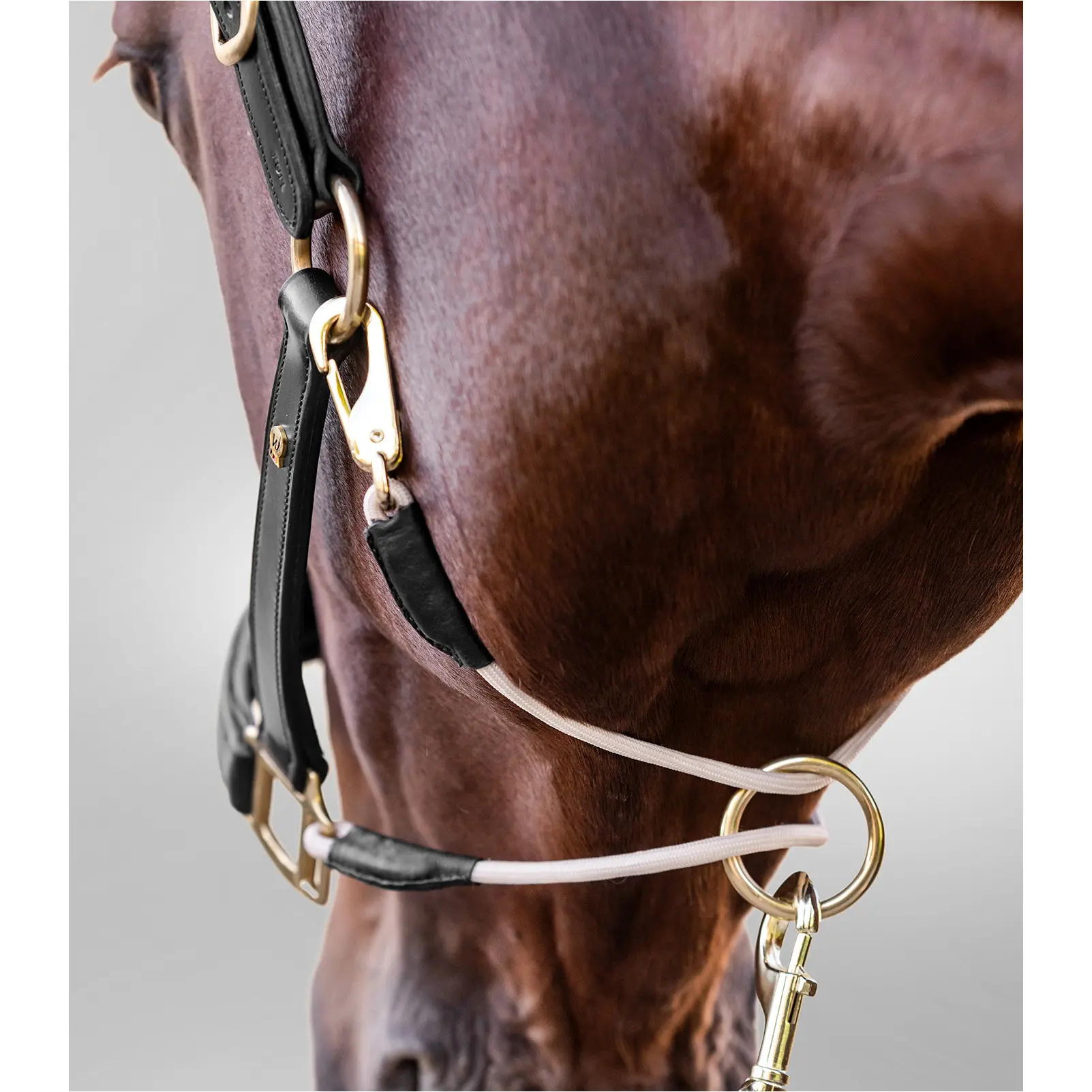 Lederhalfter S-Line ROYAL schwarz