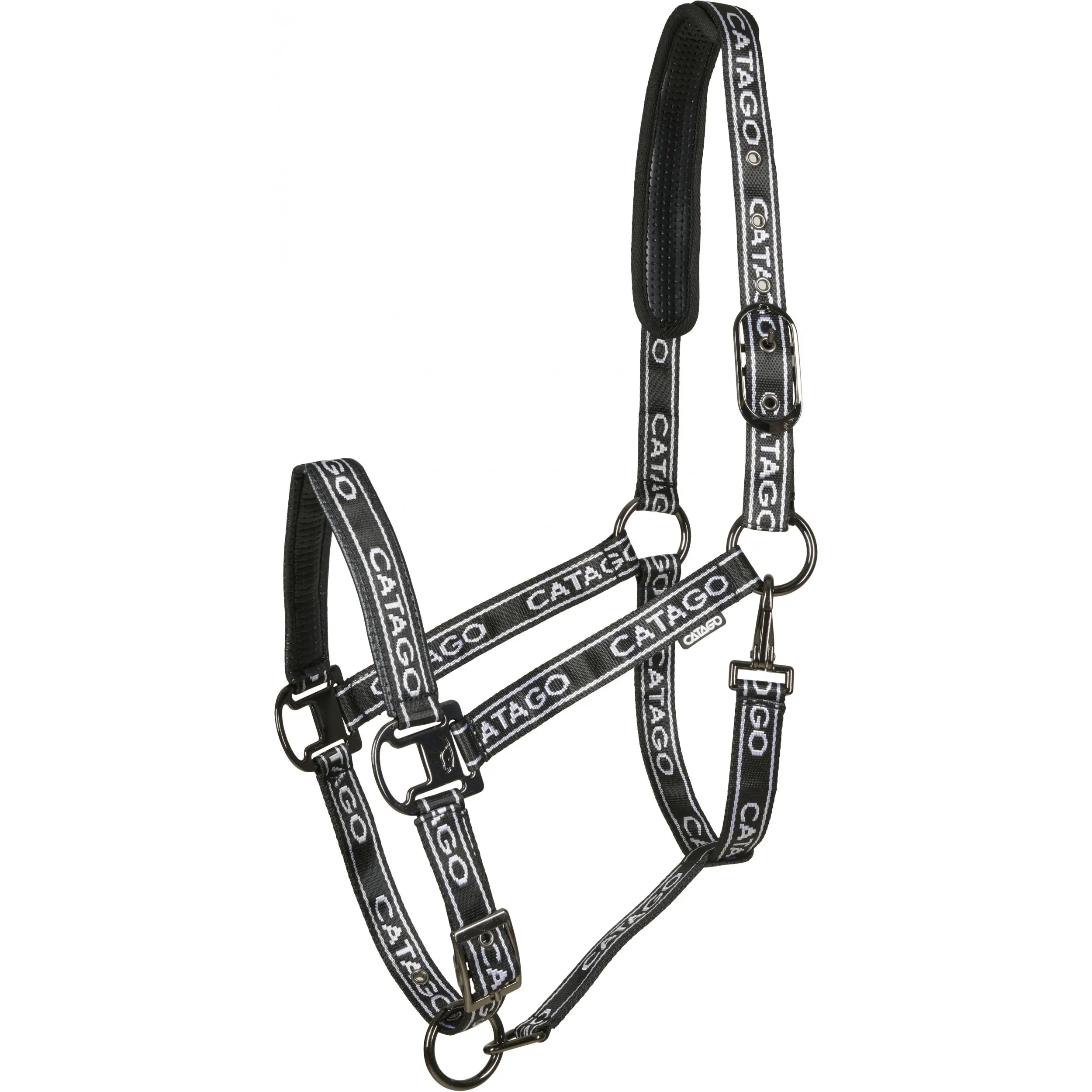 Halfter RAE schwarz Halfter RAE schwarz