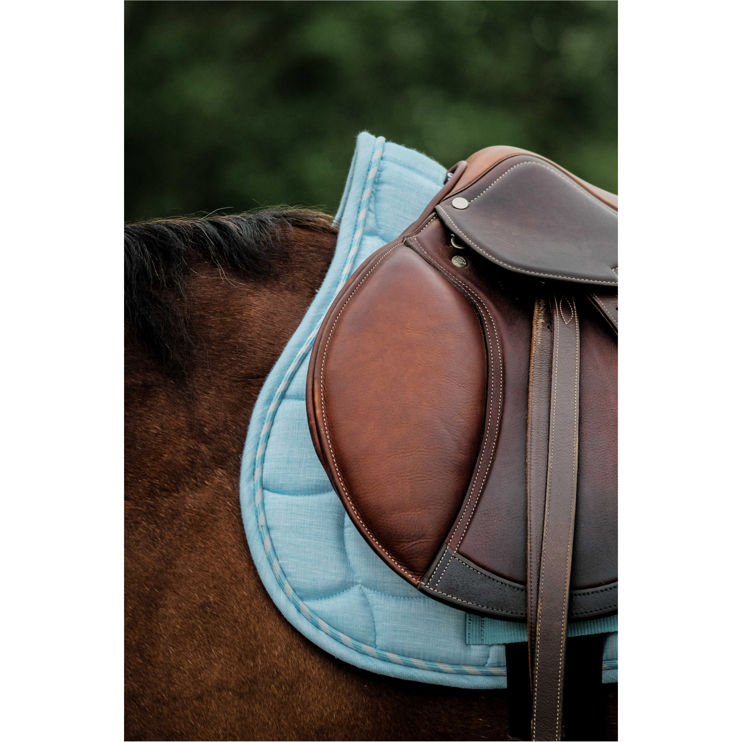 Schabracke SUNSHINE himmelblau Warmblut Vielseitigkeit Schabracke SUNSHINE himmelblau Warmblut Vielseitigkeit