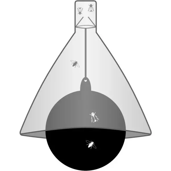 Bremsenfalle TaonX