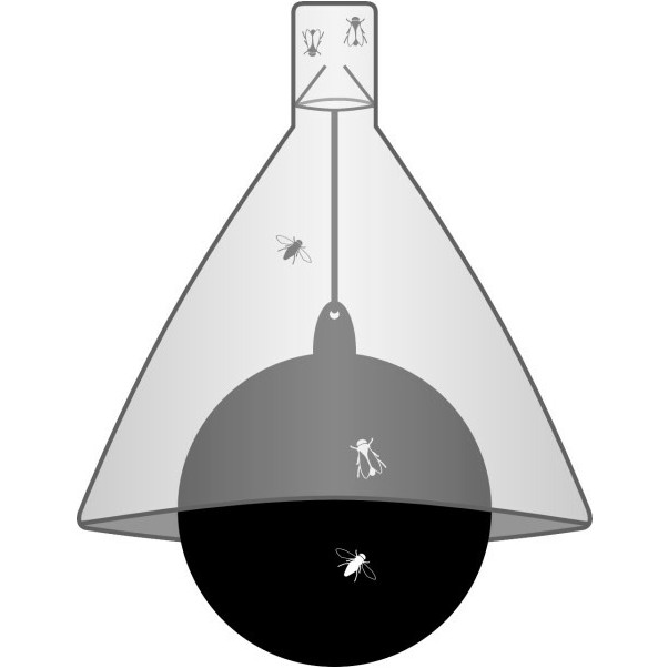 Bremsenfalle TaonX