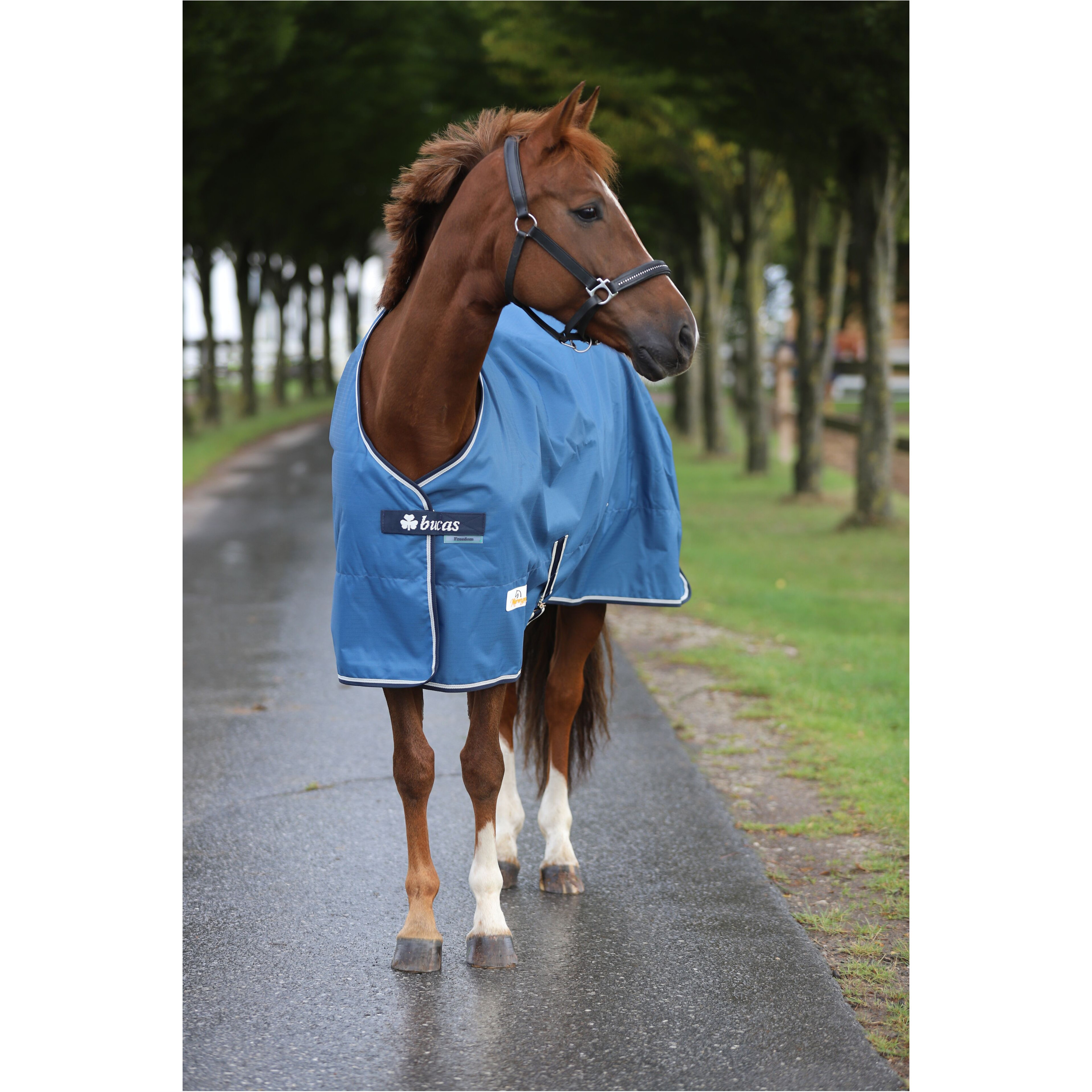 Weidedecke 600D FREEDOM TURNOUT blau/navy