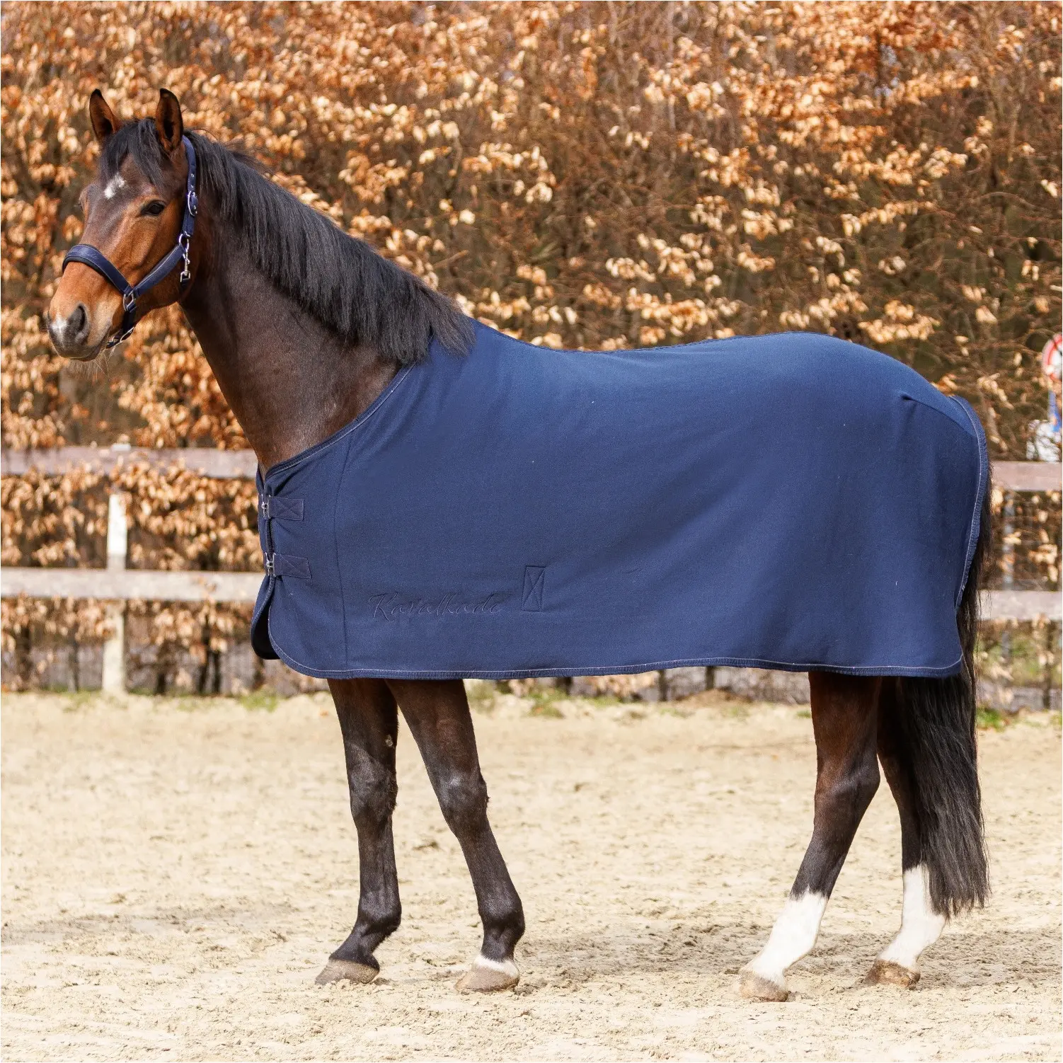 Abschwitzdecke GRACEFUL marine