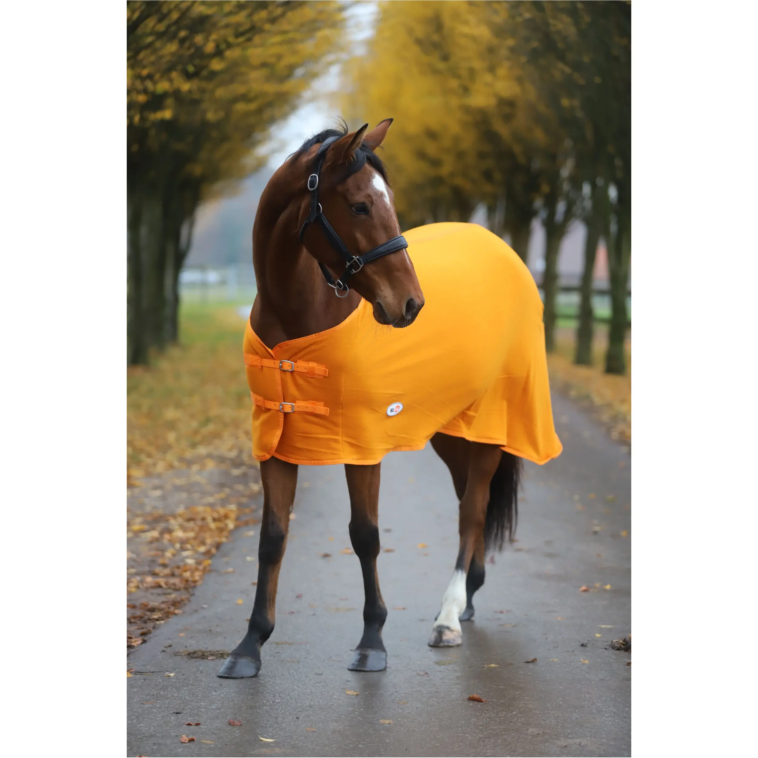 Abschwitzdecke BASICLINE rost