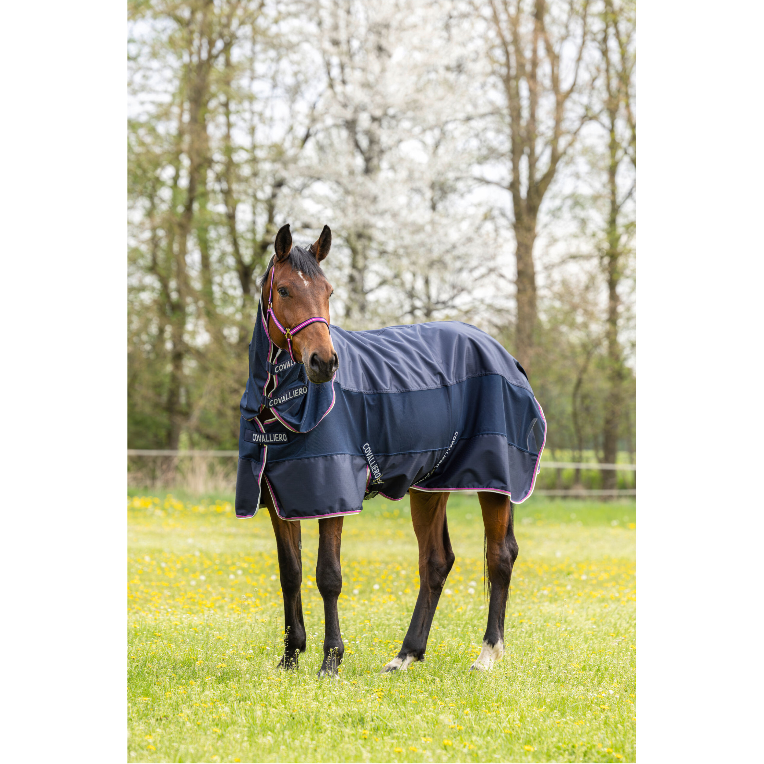Regendecke Halsteil (abnehmbar) F/S 2026 dark navy Regendecke Halsteil (abnehmbar) F/S 2026 dark navy