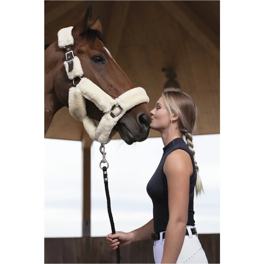 Halfter TEDDY schokobraun Halfter TEDDY schokobraun