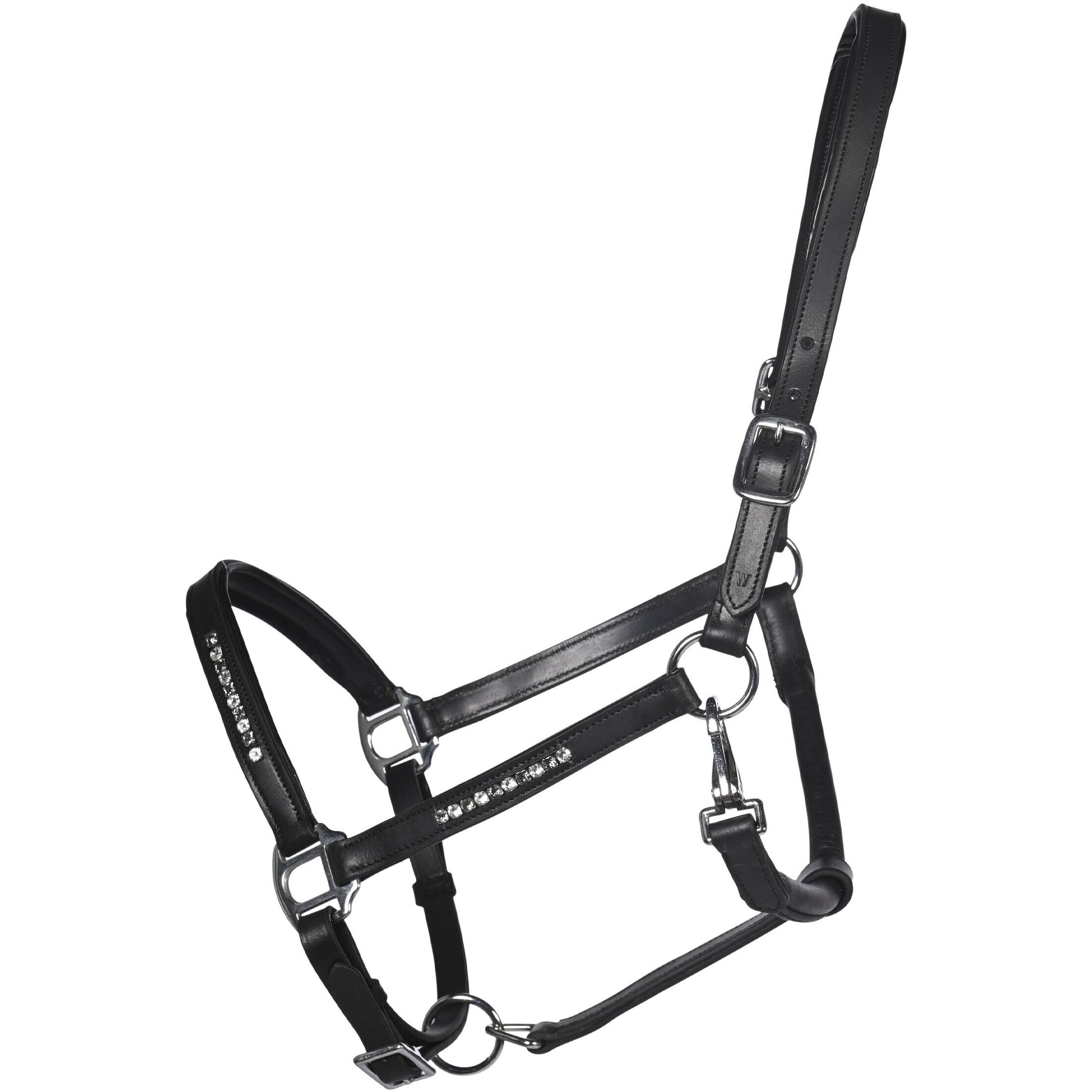 Lederhalfter SPARKLE schwarz