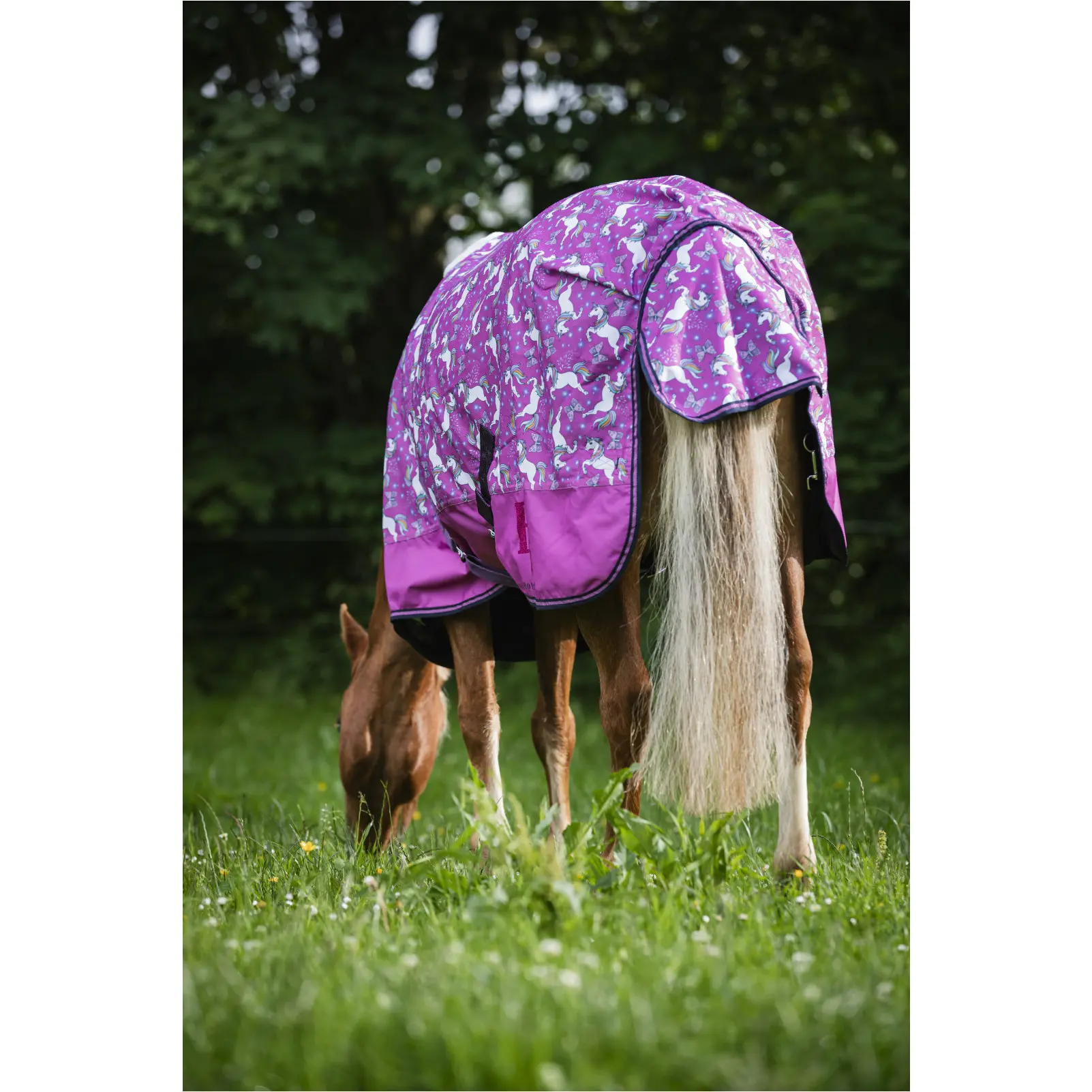 Turnoutdecke 600D JOSH UNICORN phlox pink