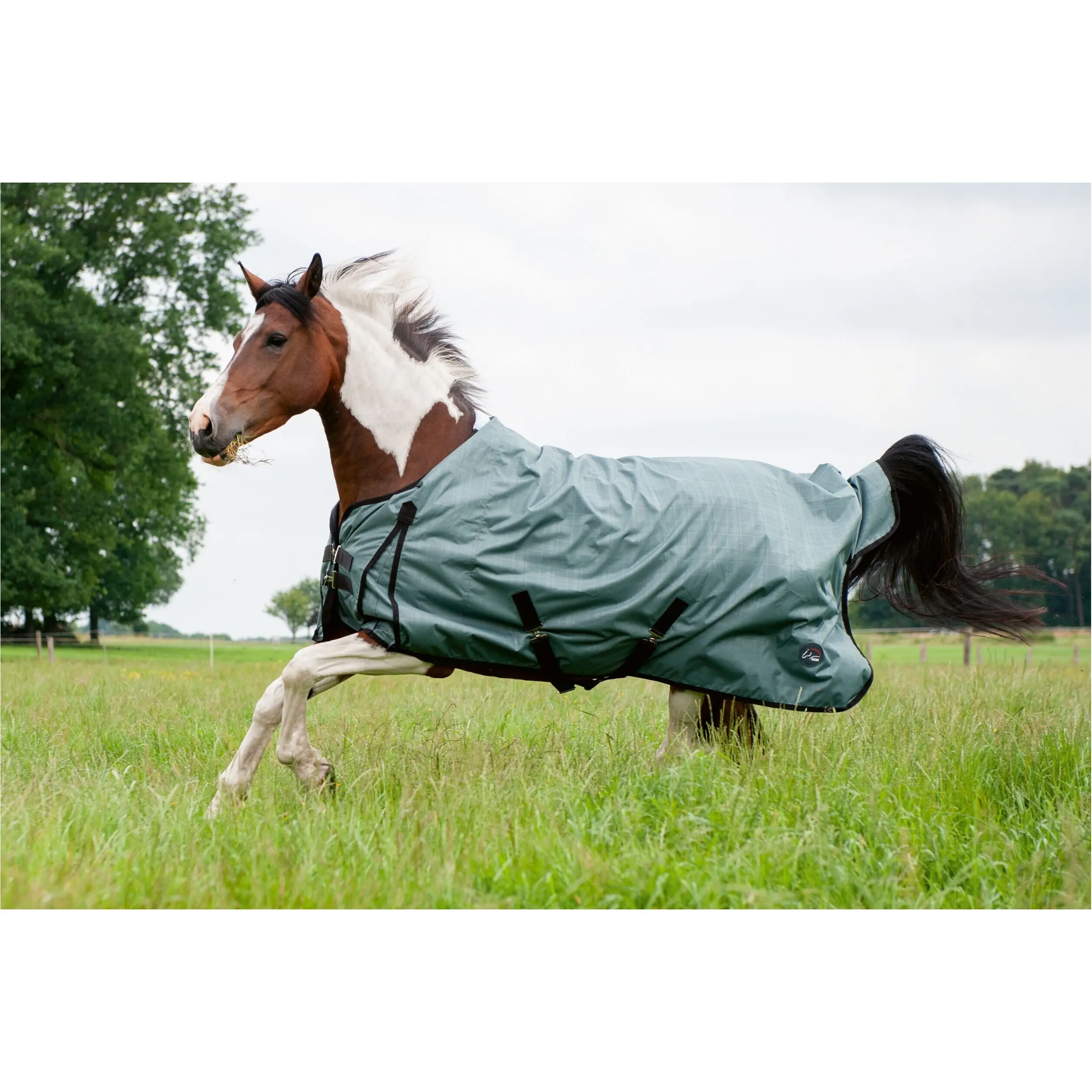 Weidedecke 200g Füllung 600D HIGH COMFORT STYLE salbei Weidedecke 200g Füllung 600D HIGH COMFORT STYLE salbei